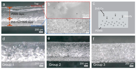 Coatings 13 02083 g001