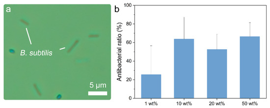Coatings 13 02083 g004