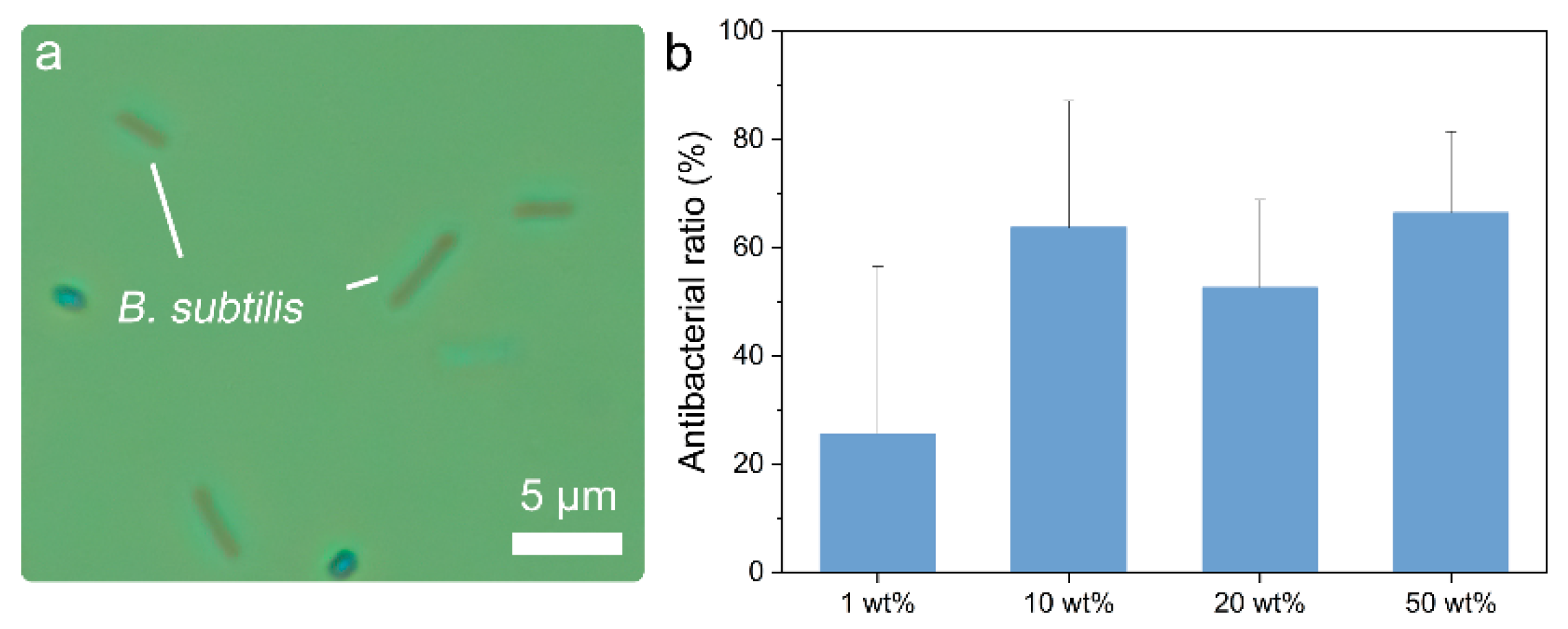 Coatings 13 02083 g004