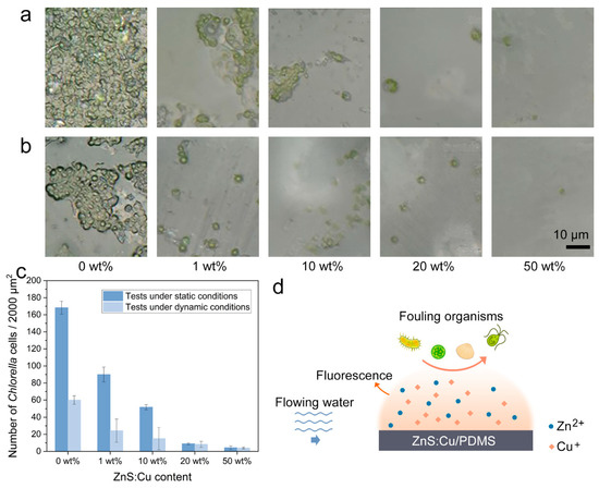 Coatings 13 02083 g005