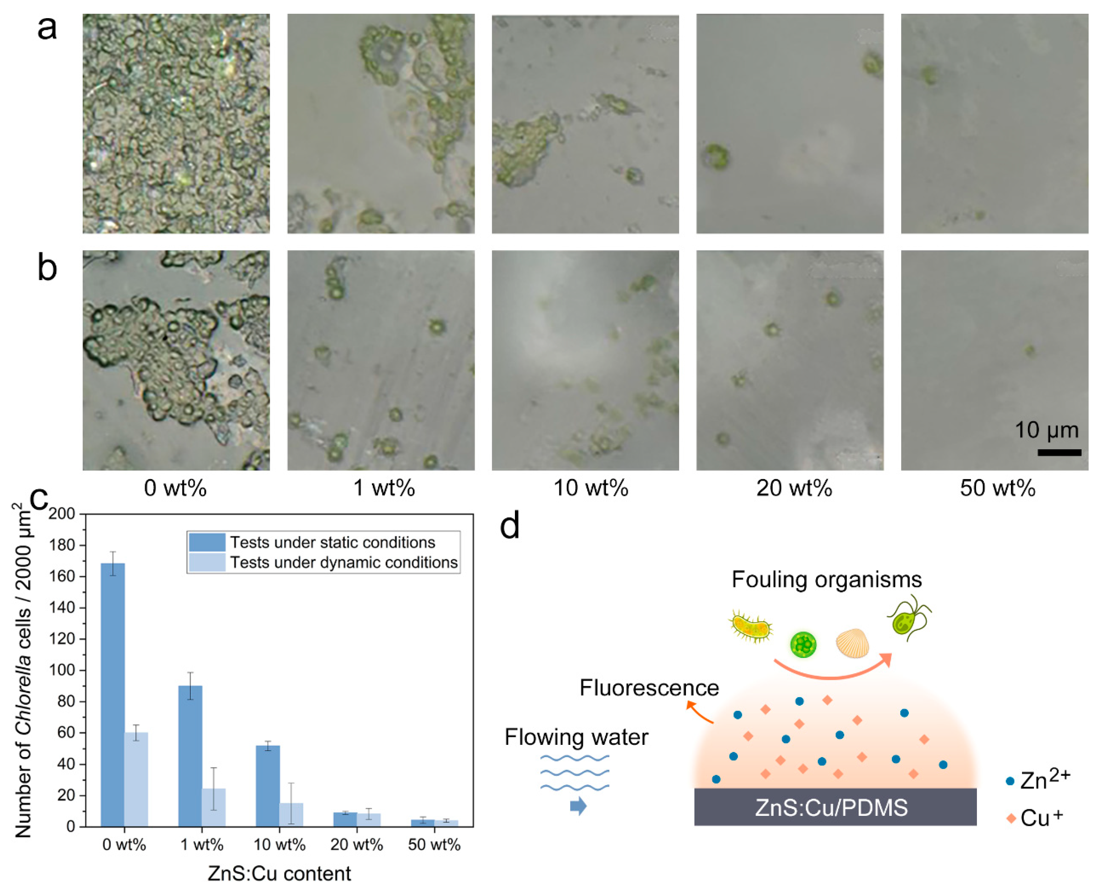 Coatings 13 02083 g005