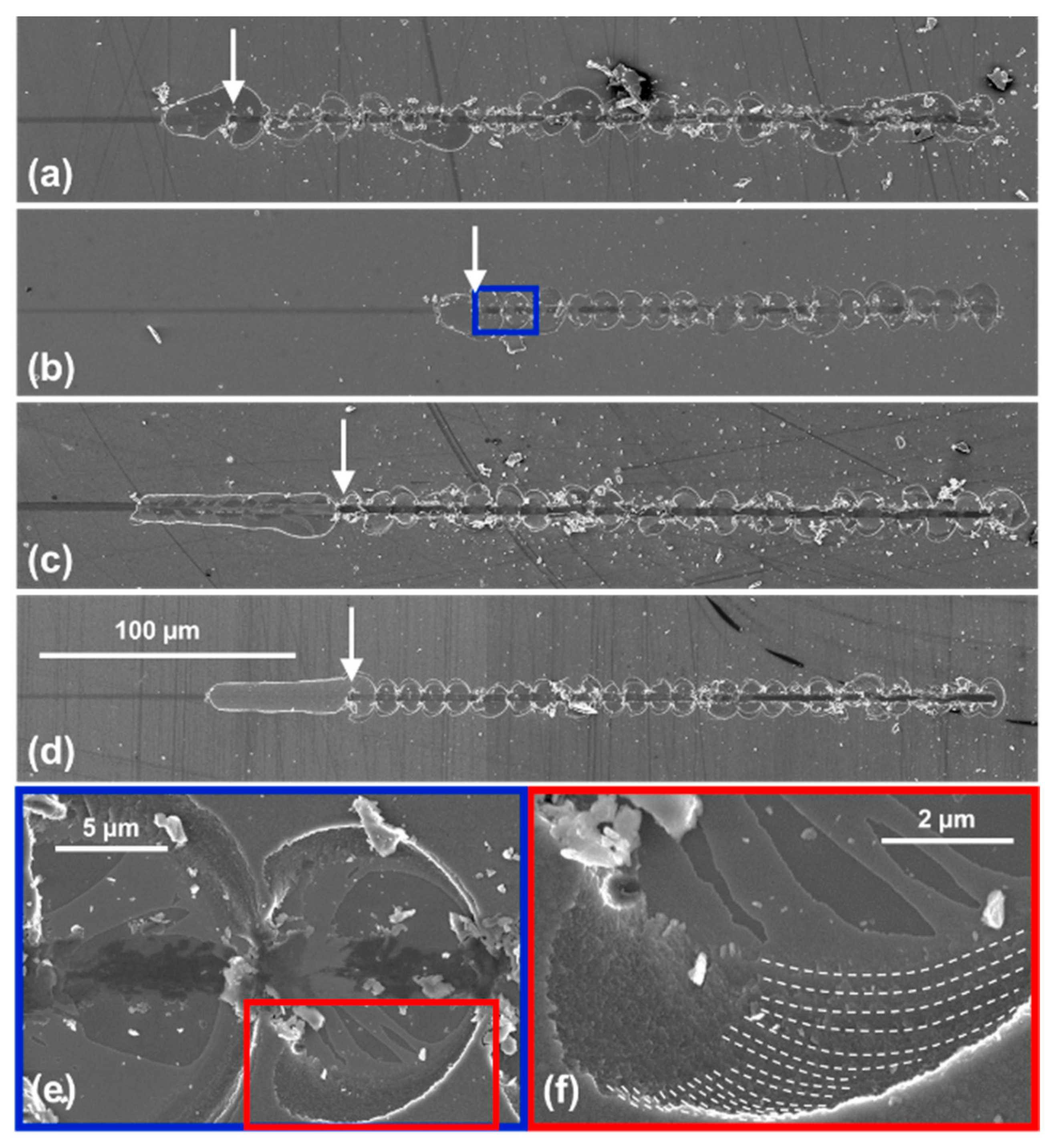 Coatings 13 02084 g011