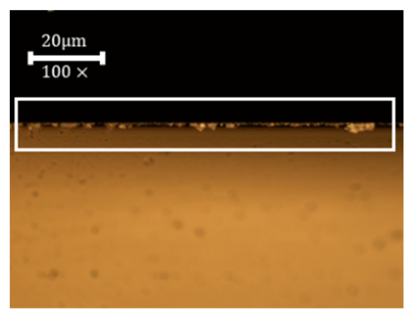 Coatings 13 02086 g005