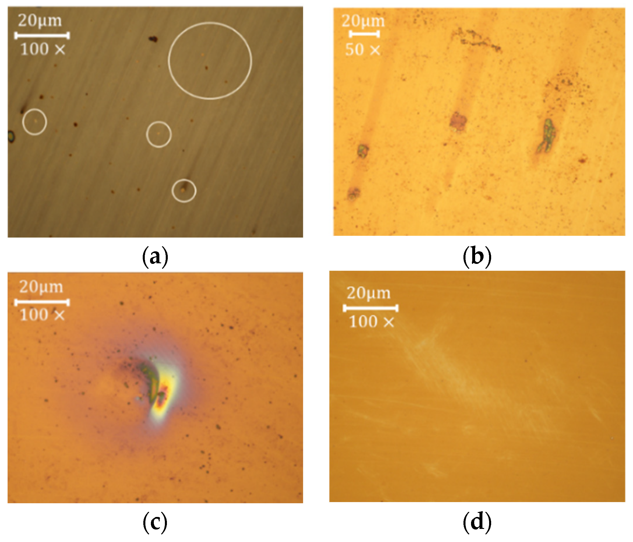 Coatings 13 02086 g018