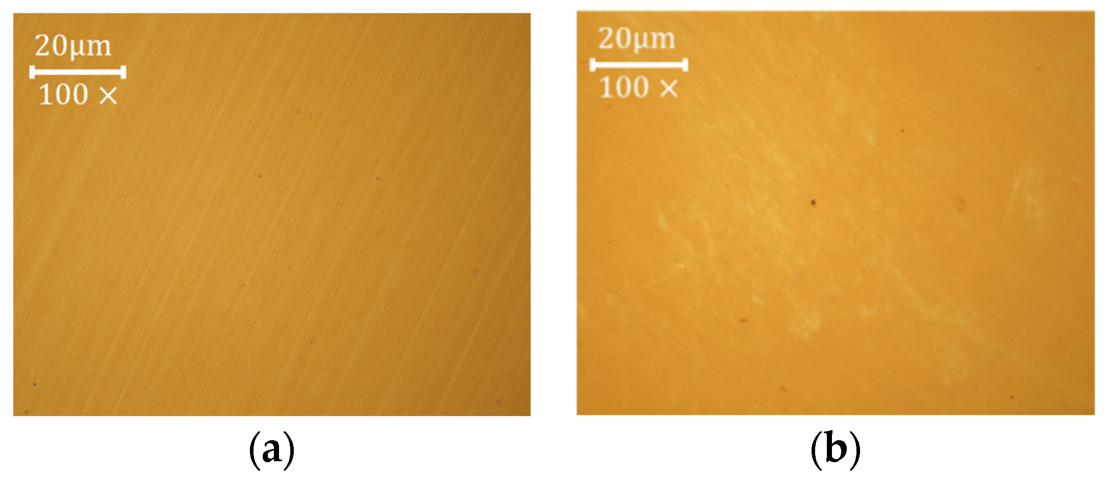 Coatings 13 02086 g019