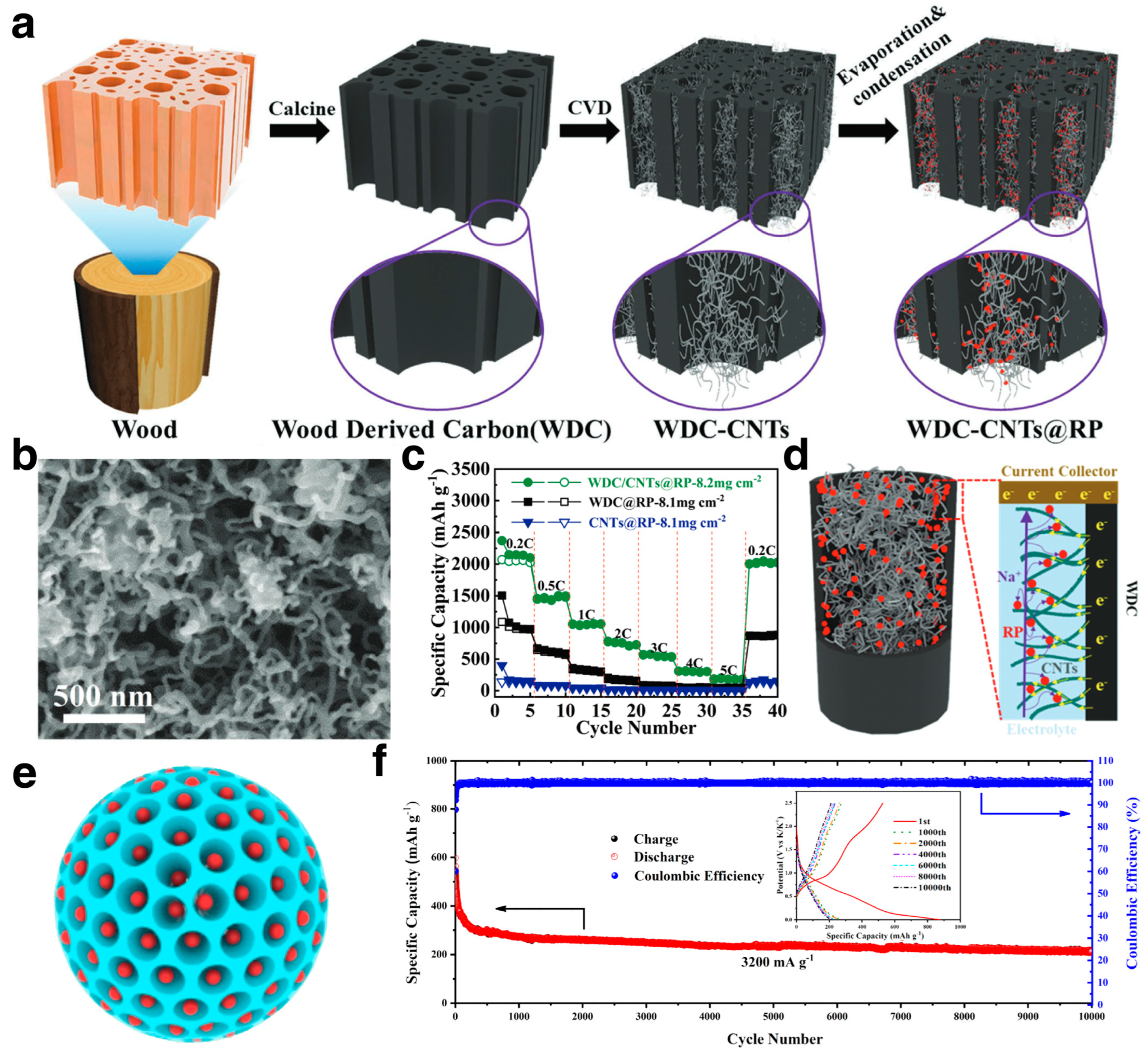 Coatings 13 02088 g003