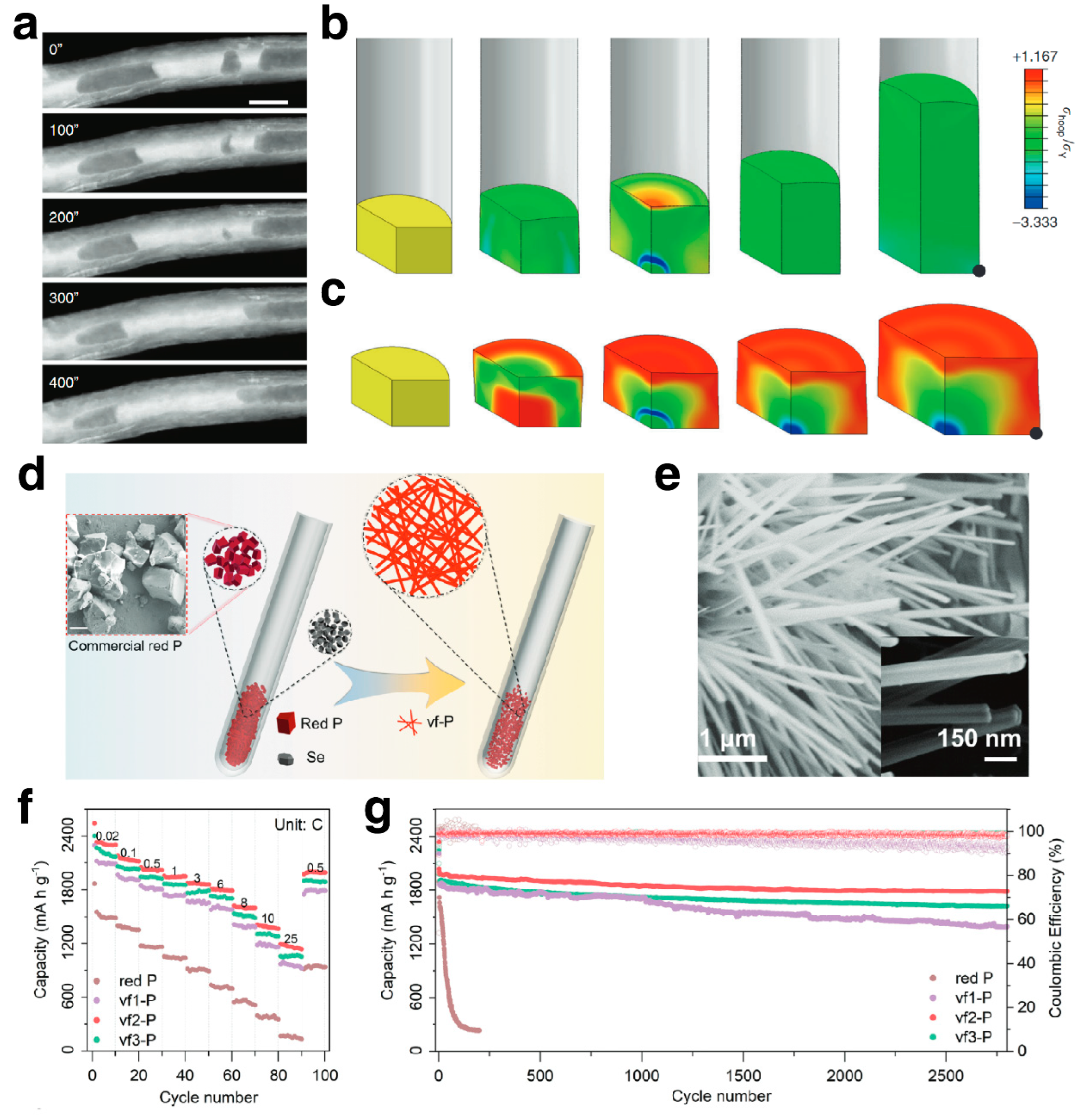 Coatings 13 02088 g005