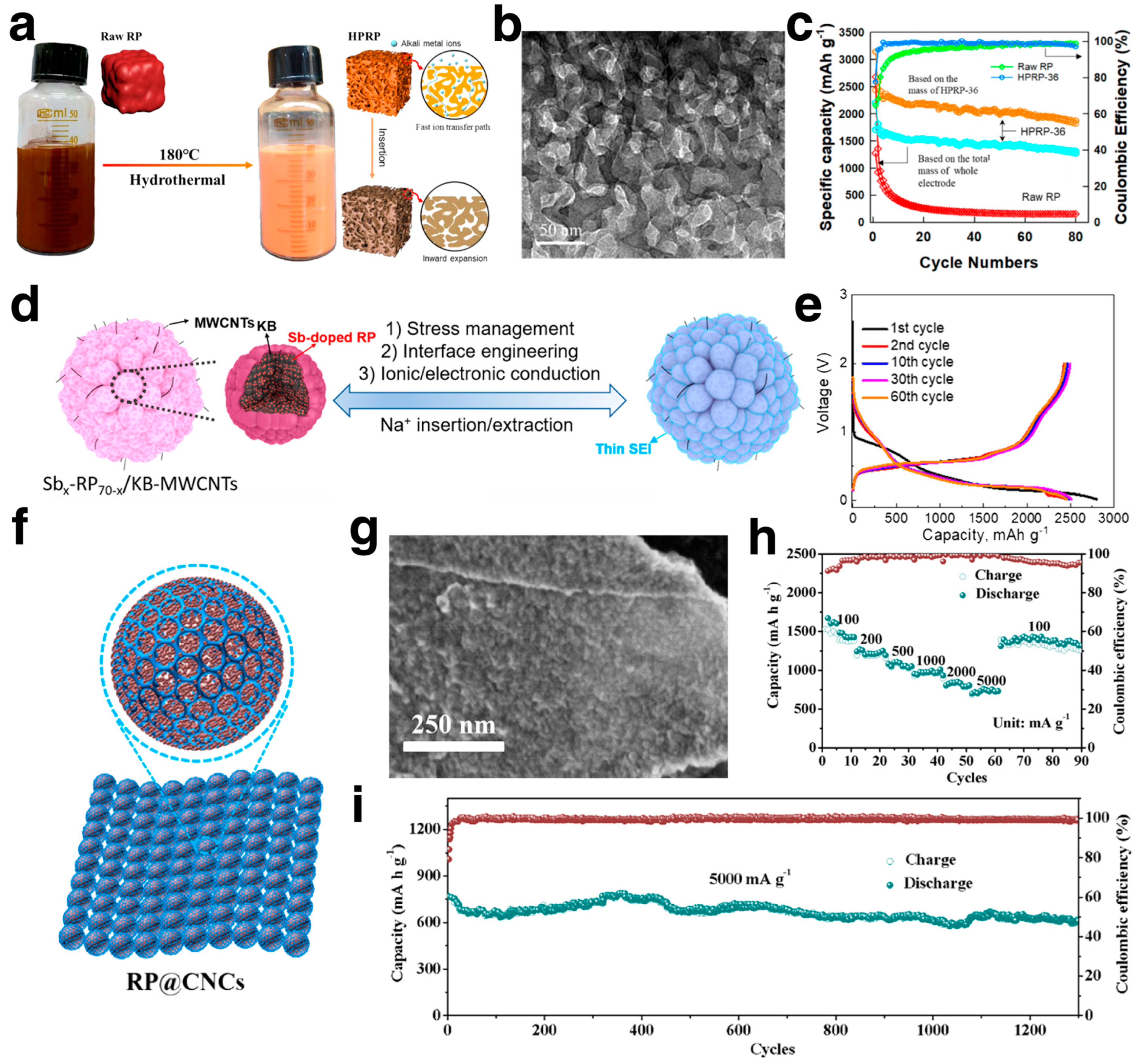 Coatings 13 02088 g010