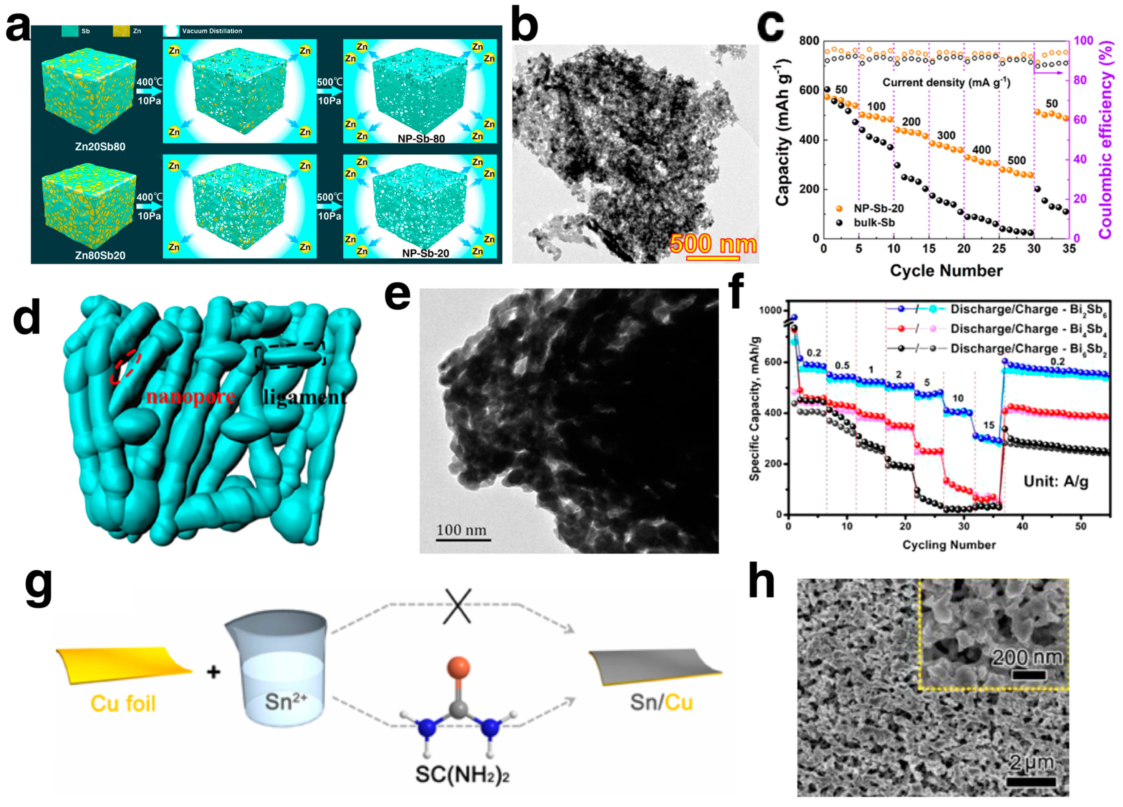Coatings 13 02088 g012
