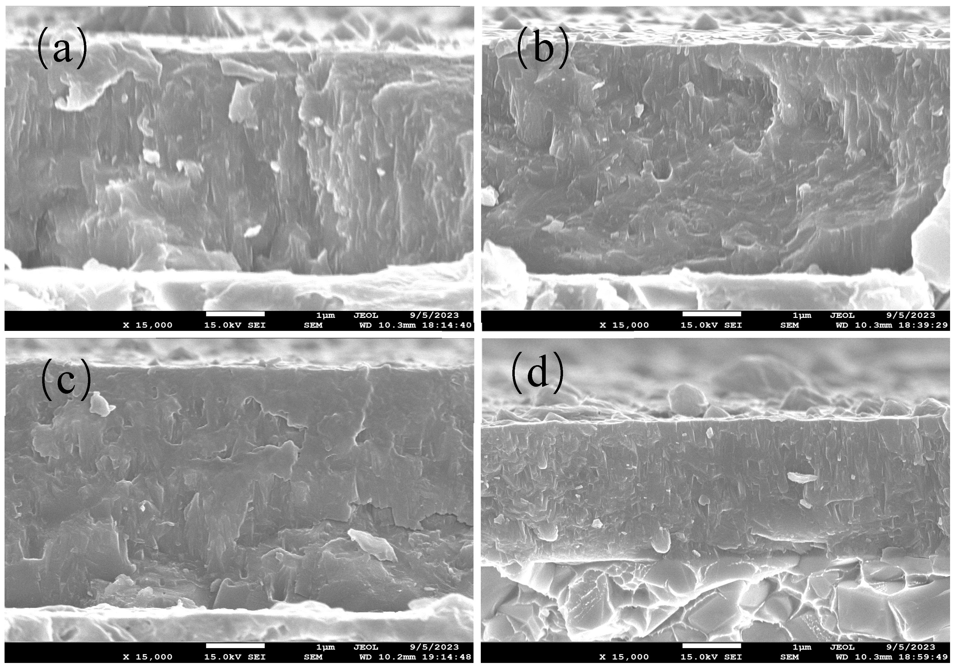 Coatings 13 02090 g004