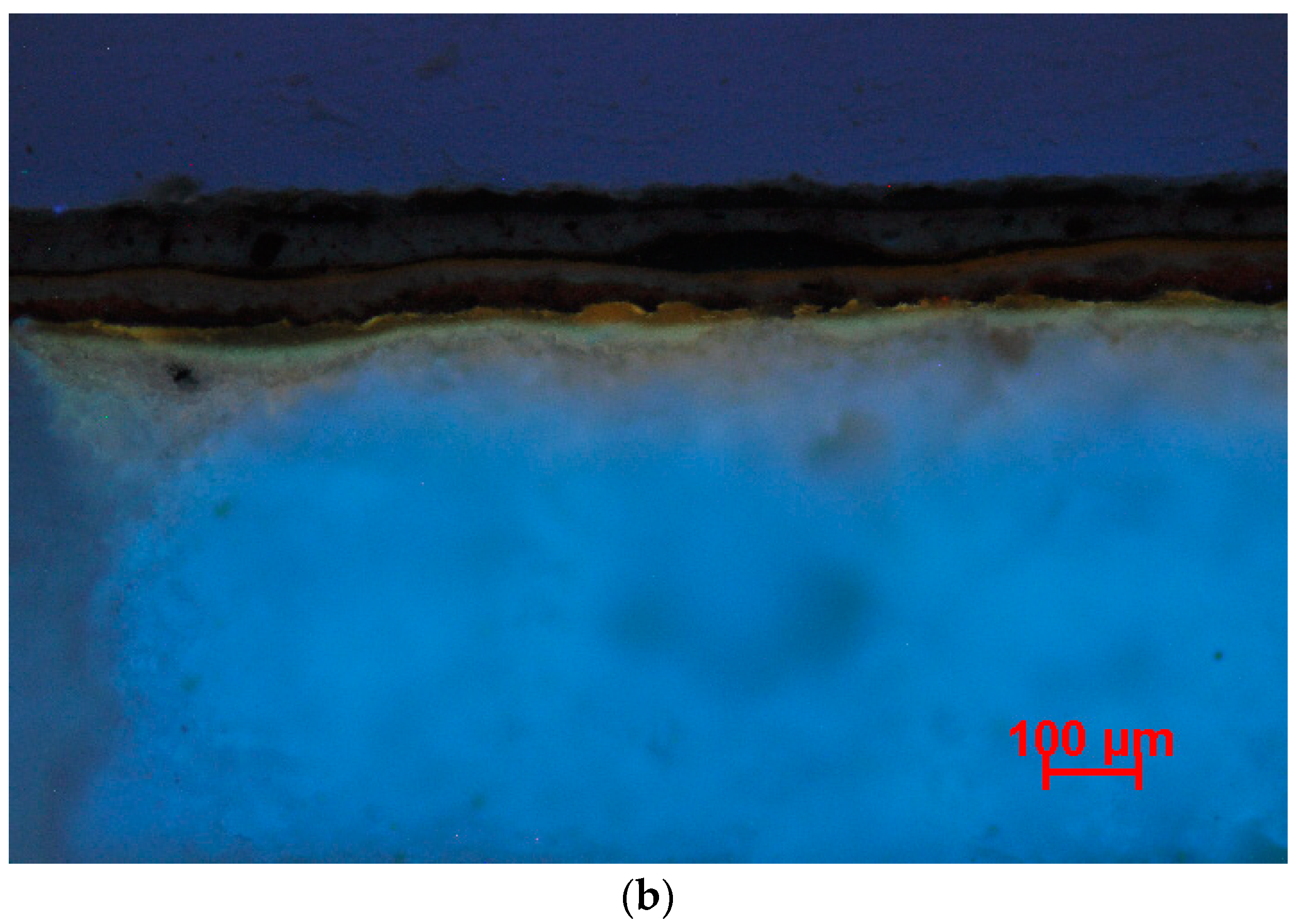 Coatings 13 02092 g003b