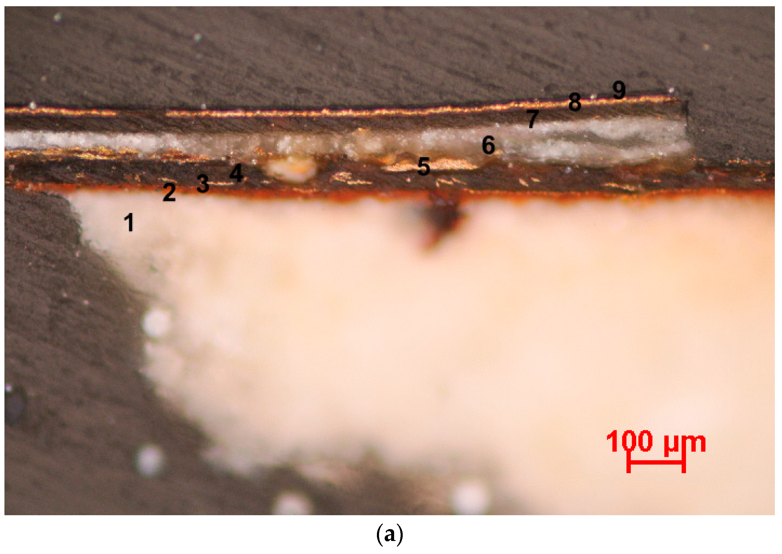 Coatings 13 02092 g004a