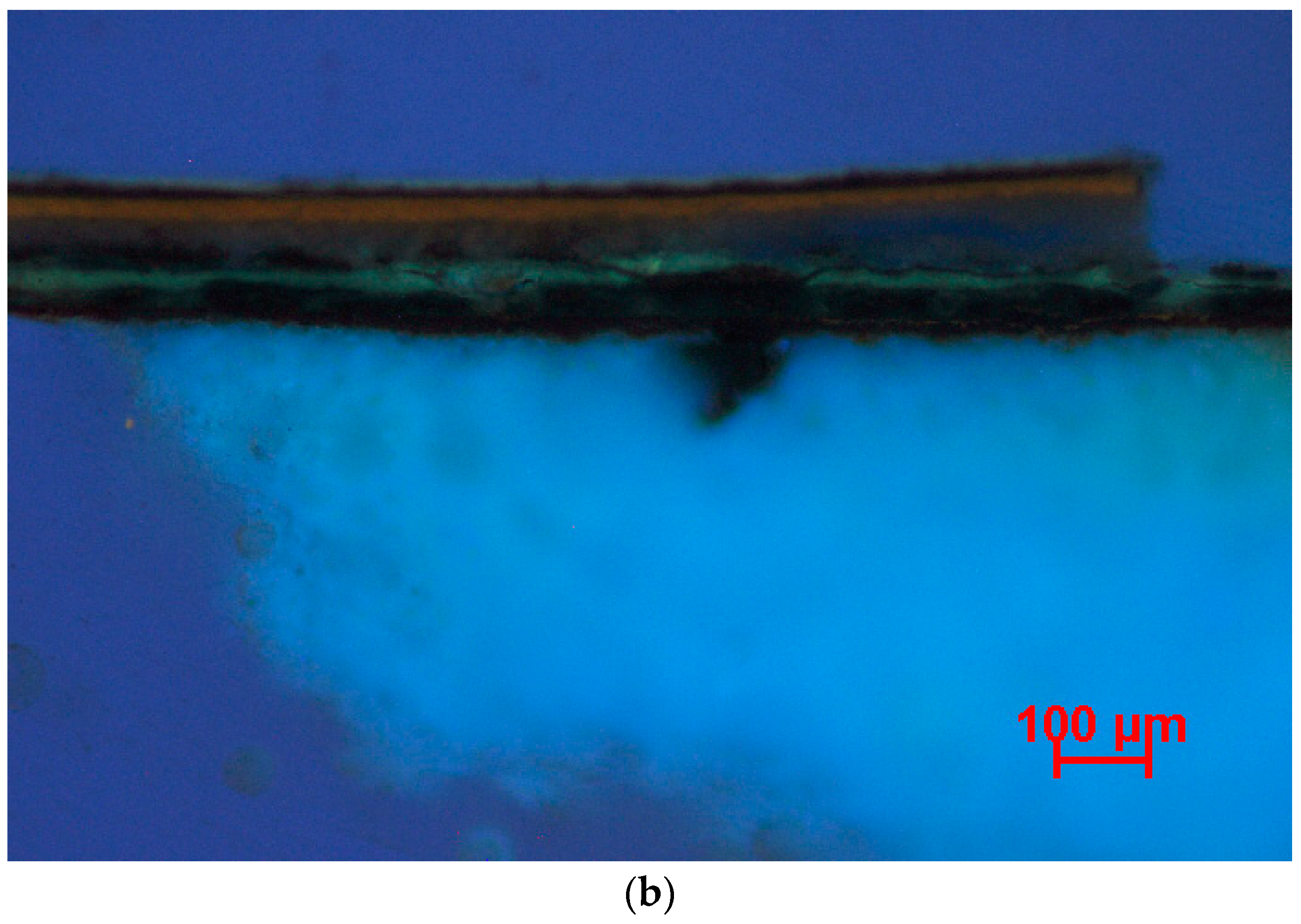 Coatings 13 02092 g004b