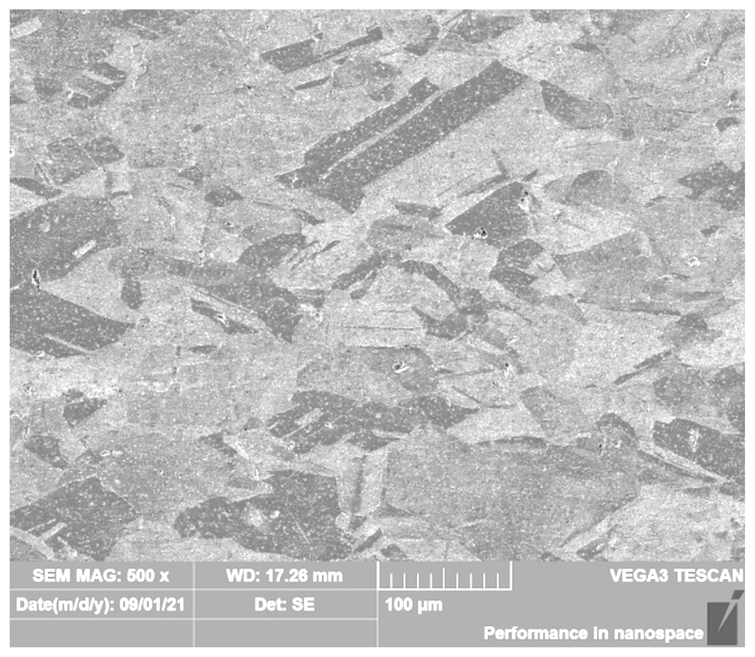 Coatings 13 02093 g003