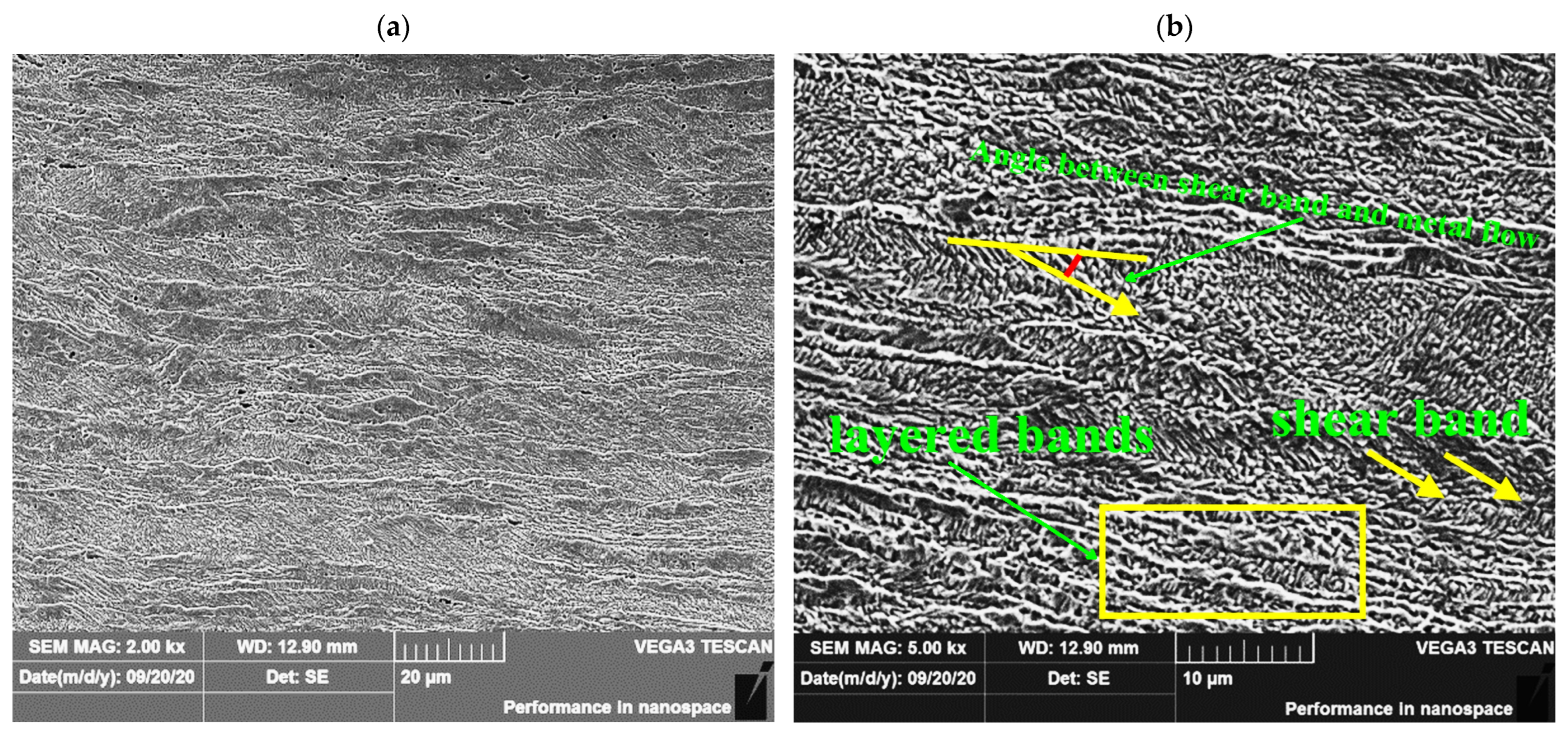 Coatings 13 02093 g004