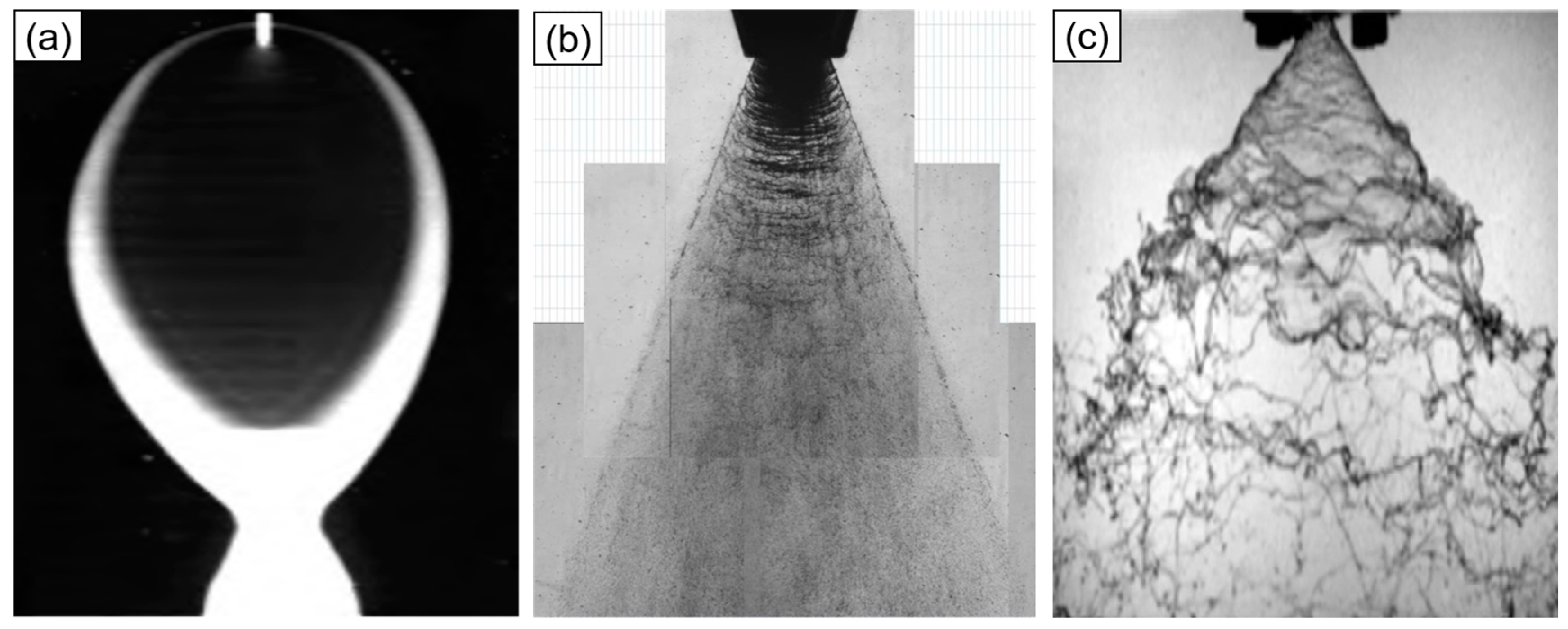 Coatings 13 02095 g003