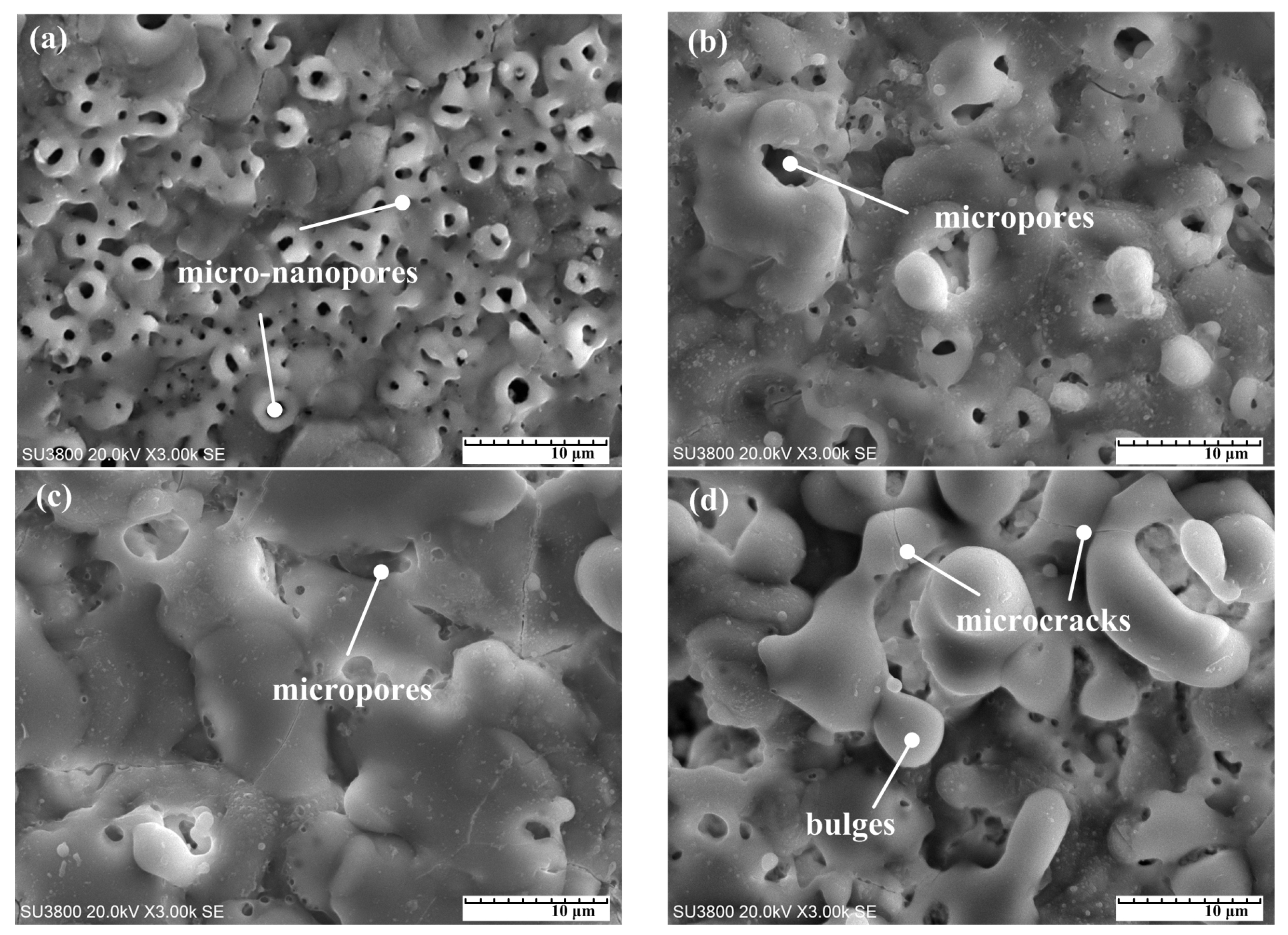 Coatings 13 02098 g006