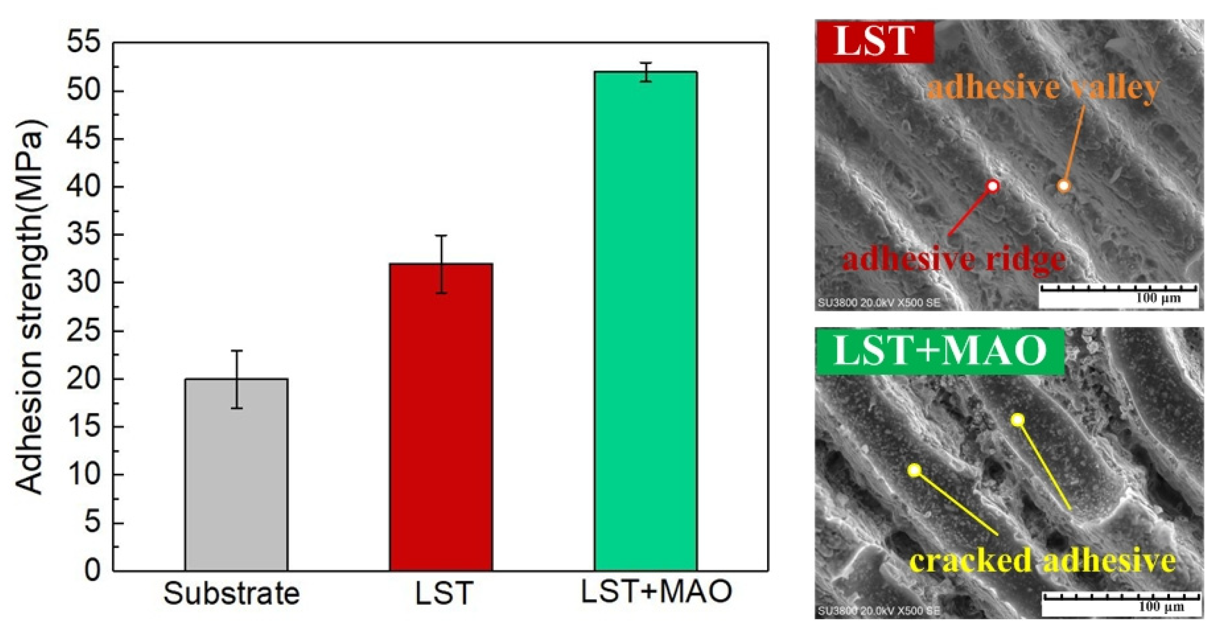 Coatings 13 02098 g010