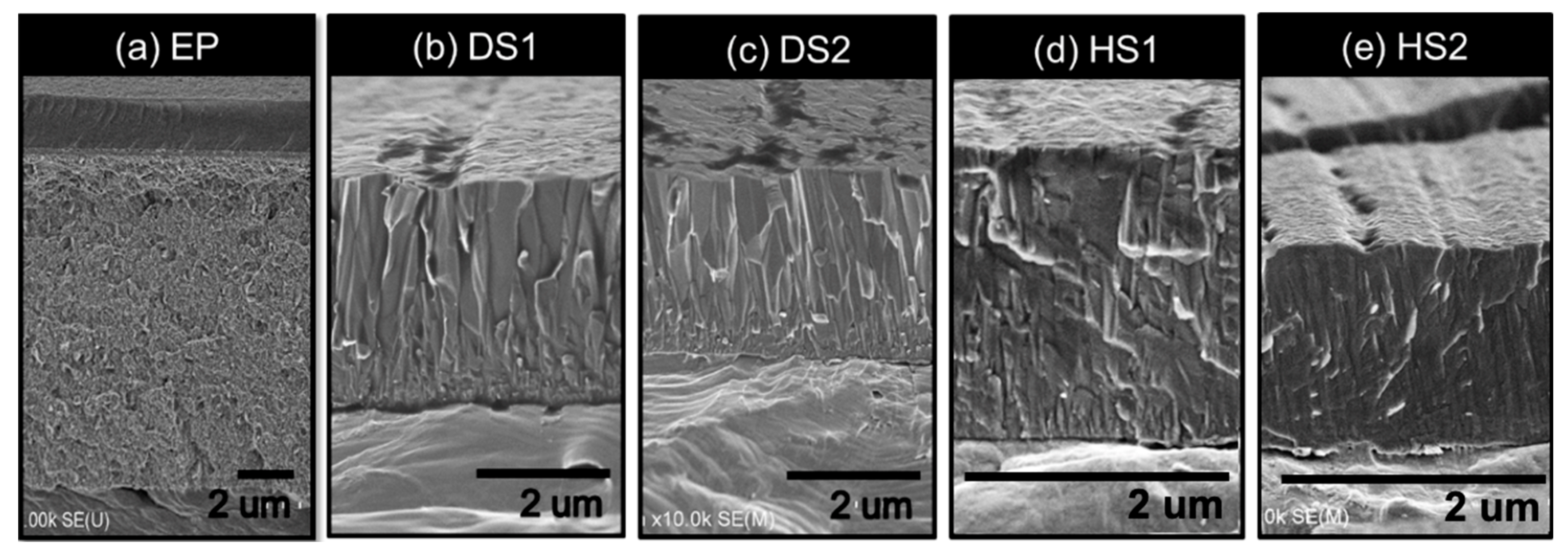 Coatings 13 02101 g004