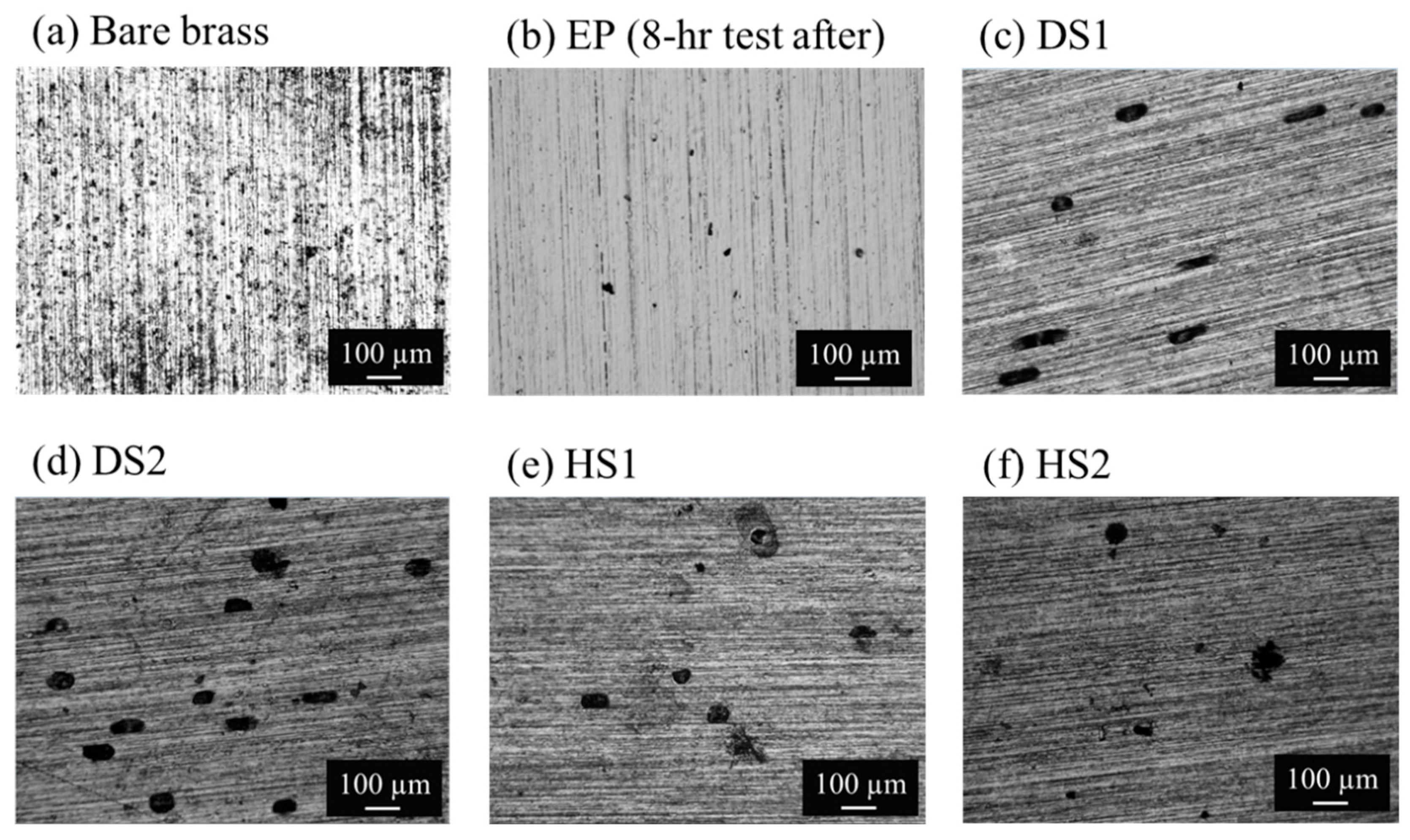Coatings 13 02101 g009