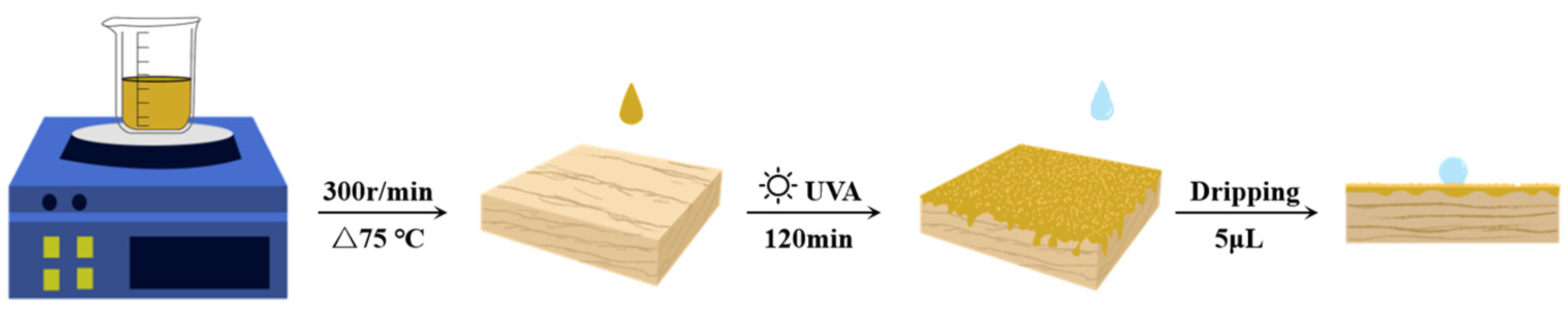 Coatings 14 00002 g002