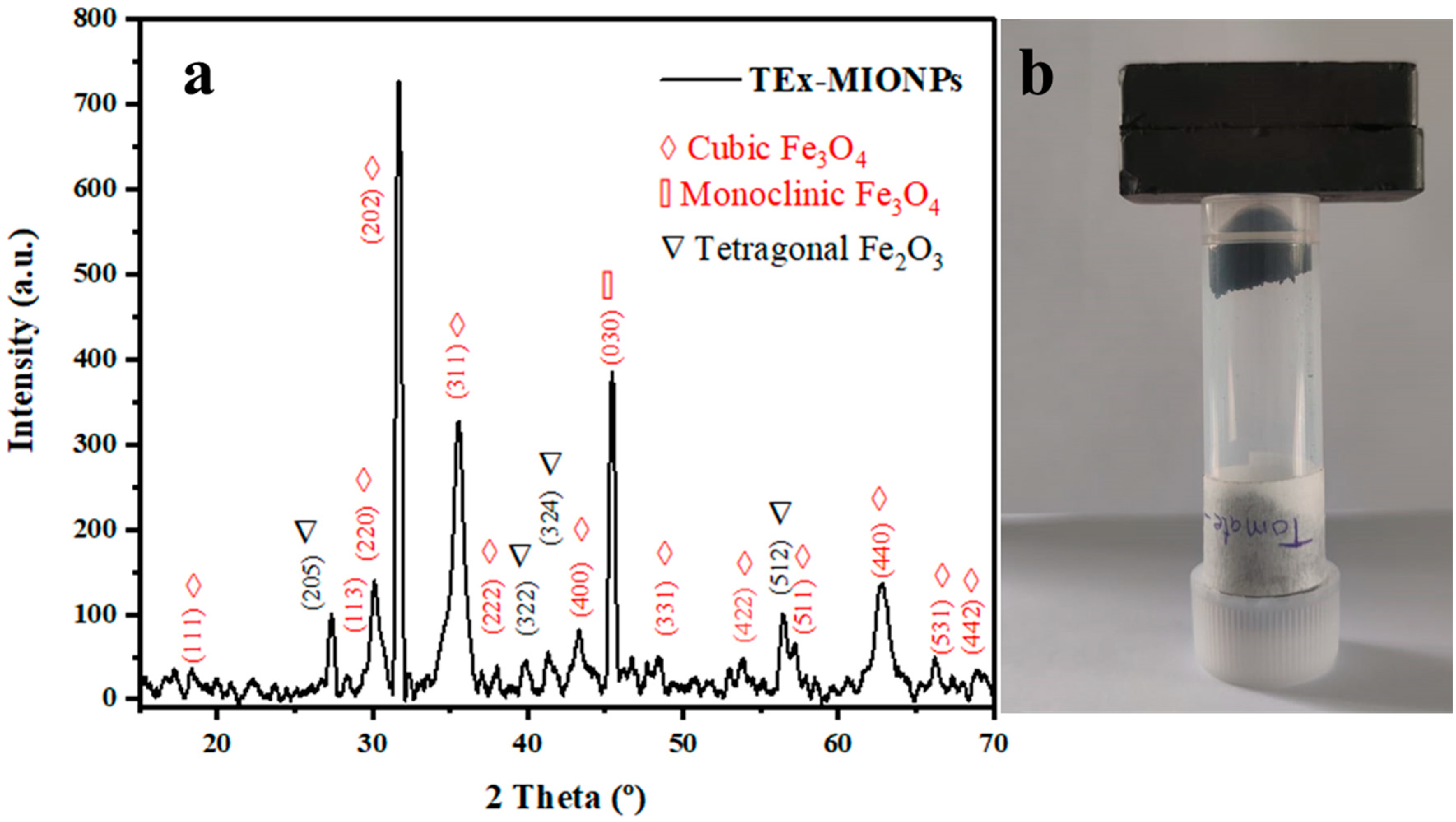 Coatings 14 00008 g001
