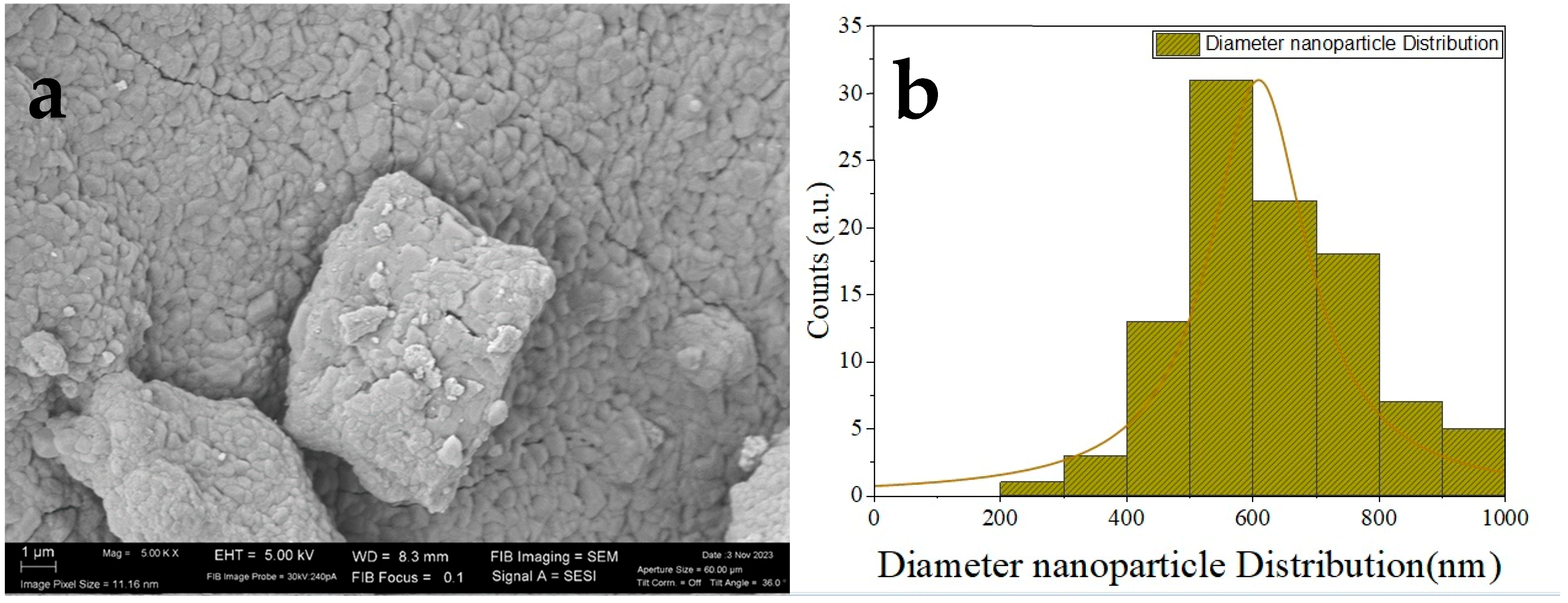 Coatings 14 00008 g003