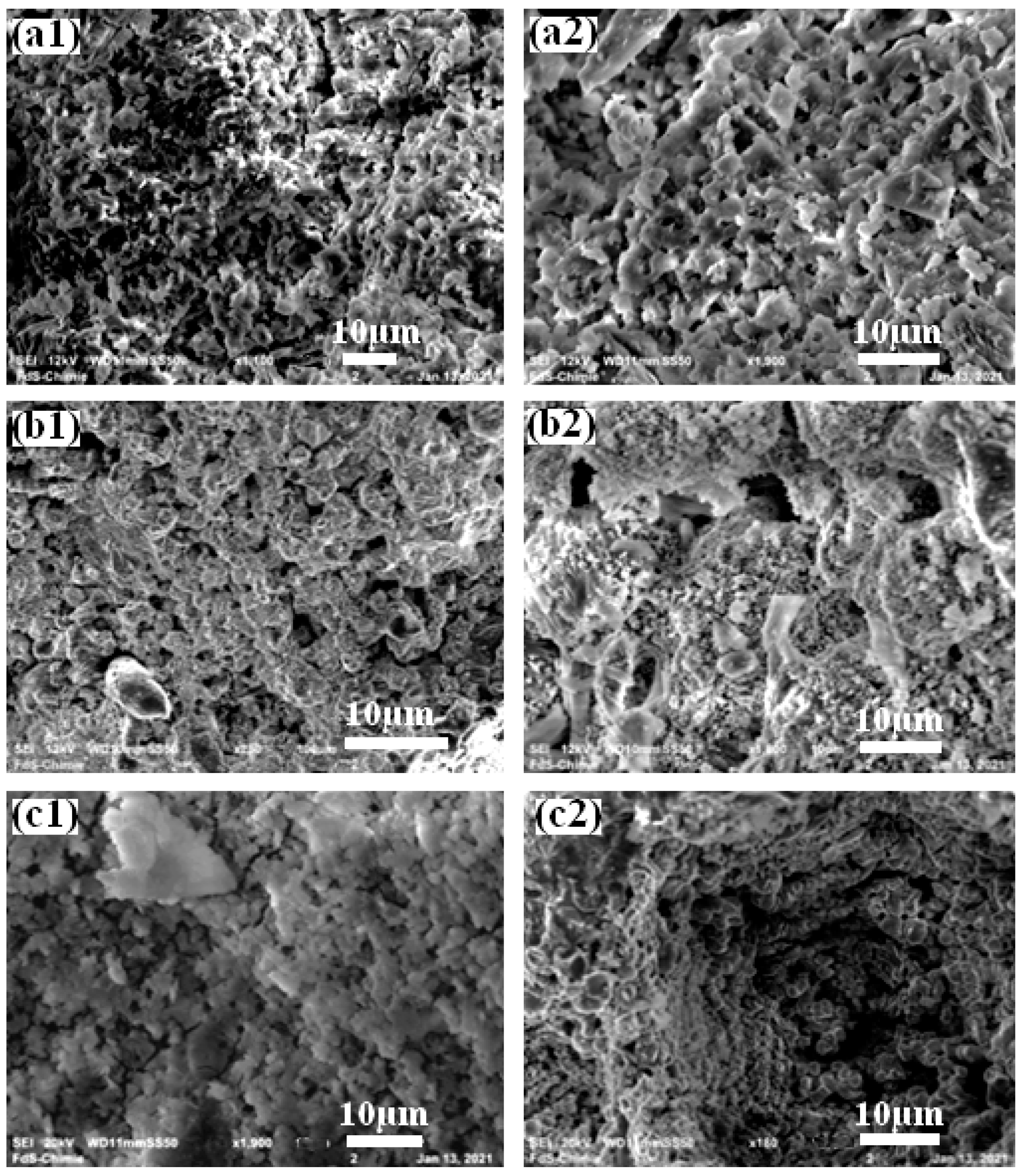 Coatings 14 00009 g001