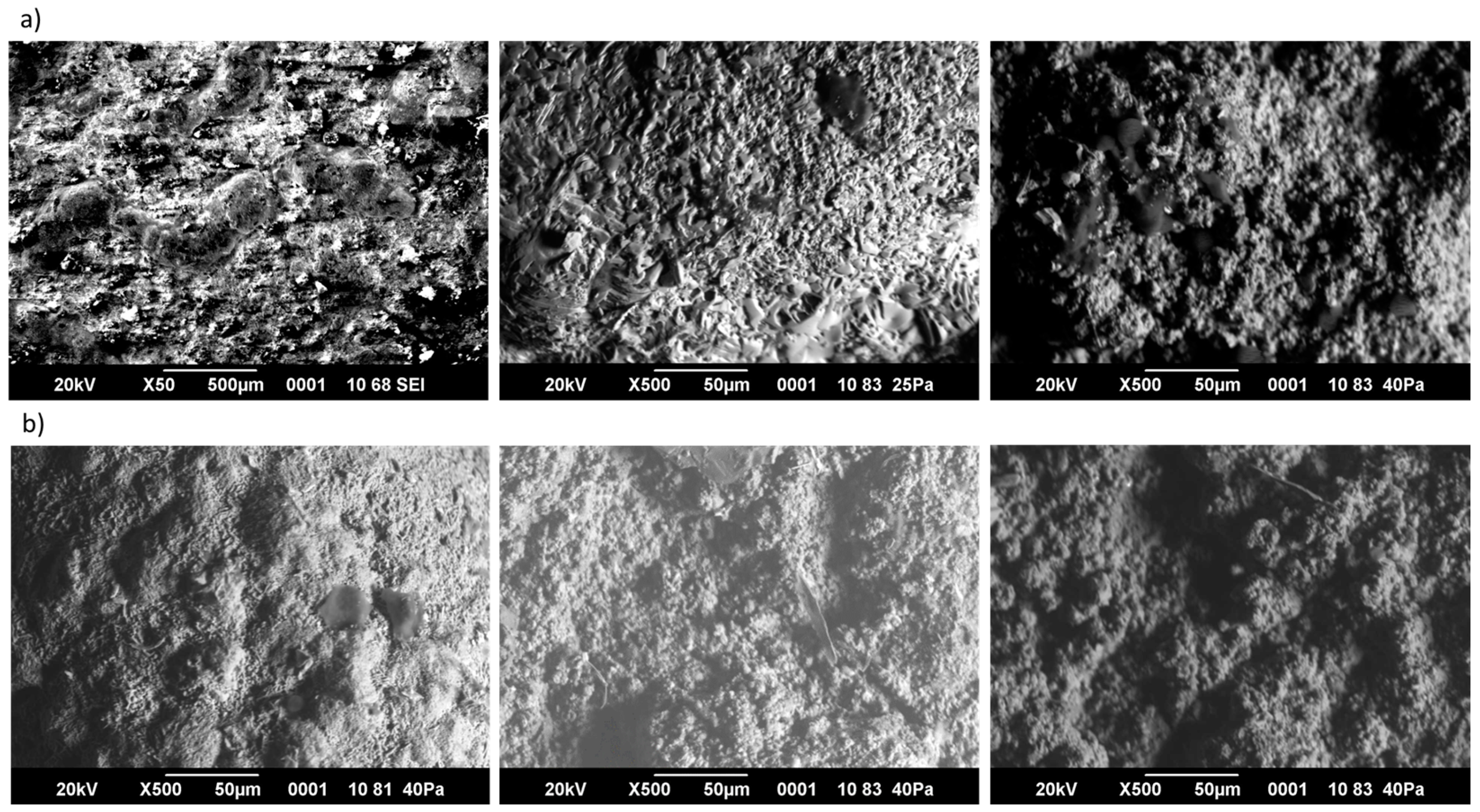 Coatings 14 00011 g002