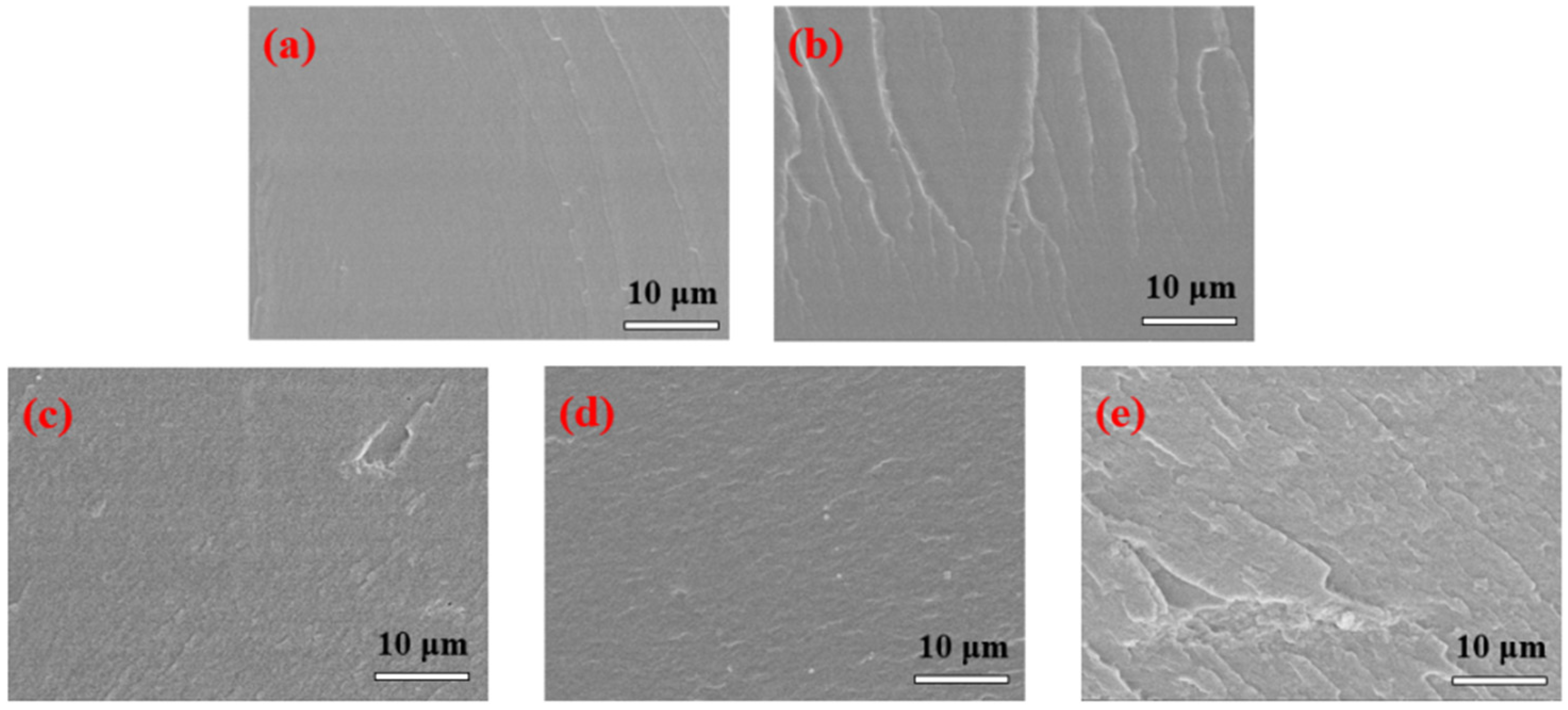 Coatings 14 00012 g008