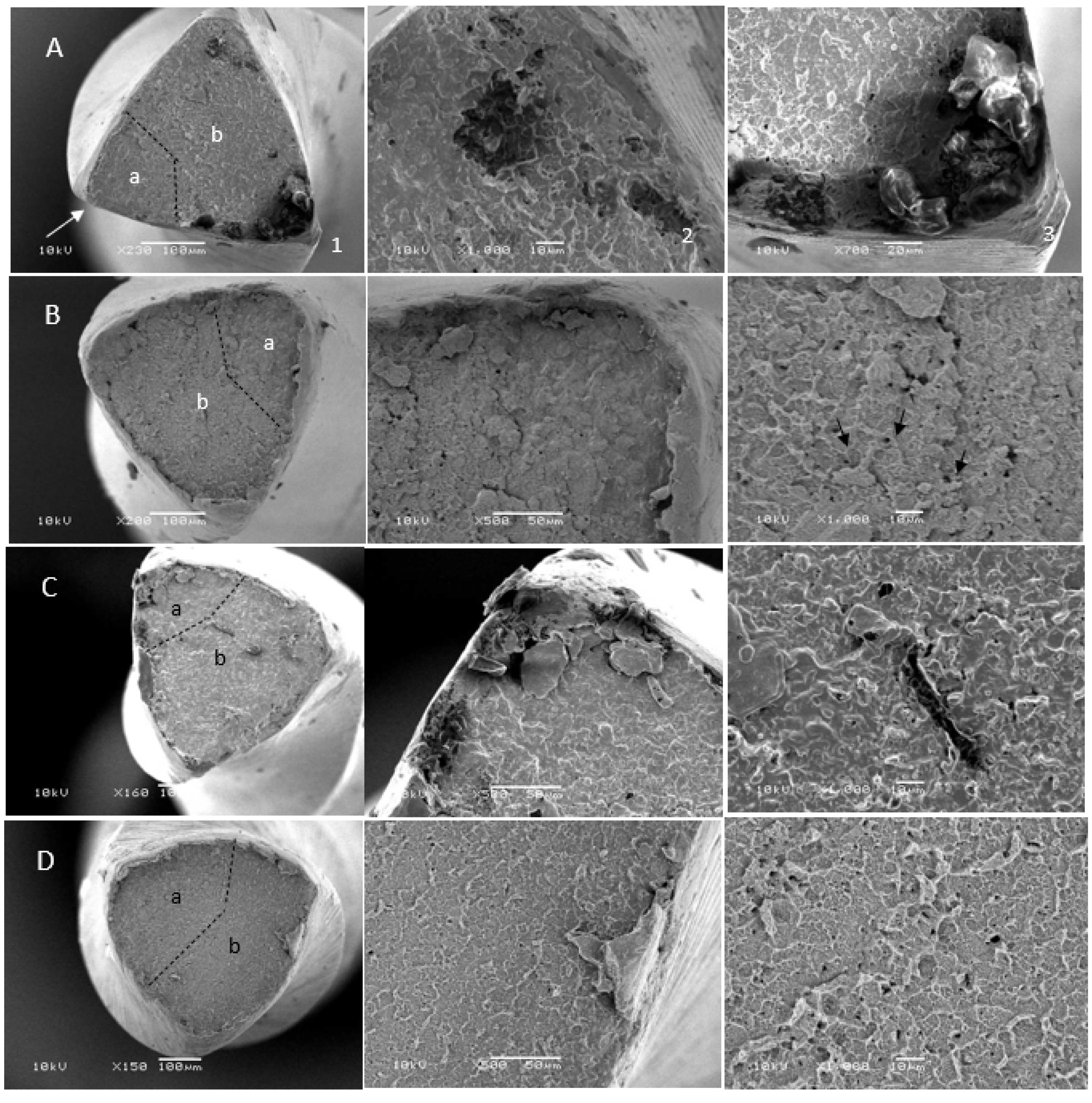 Coatings 14 00015 g002