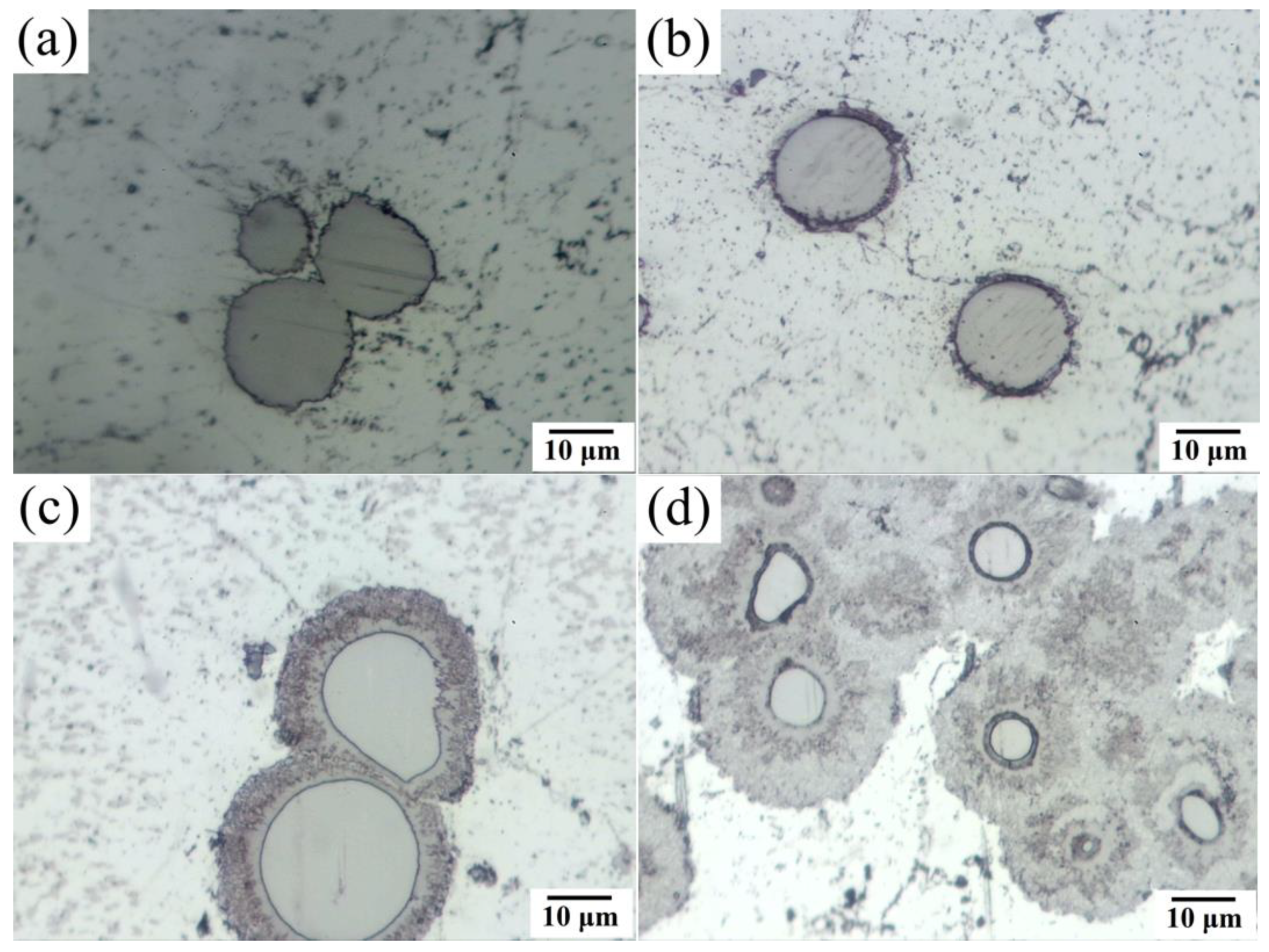 Coatings 14 00016 g001