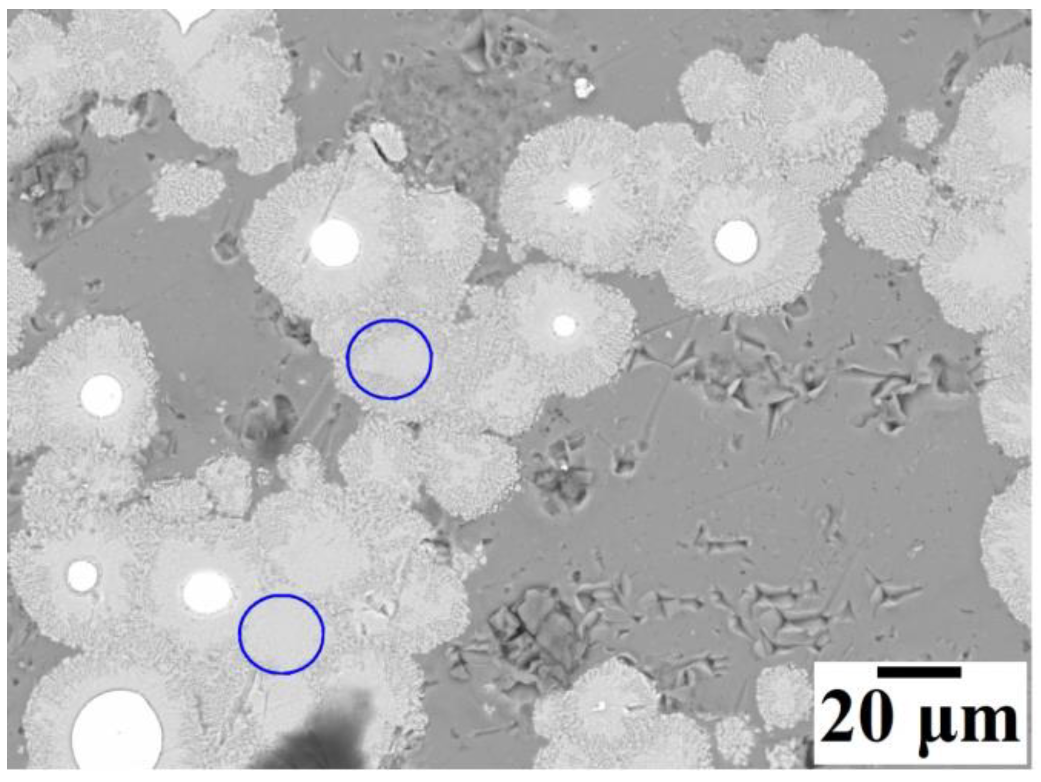 Coatings 14 00016 g007