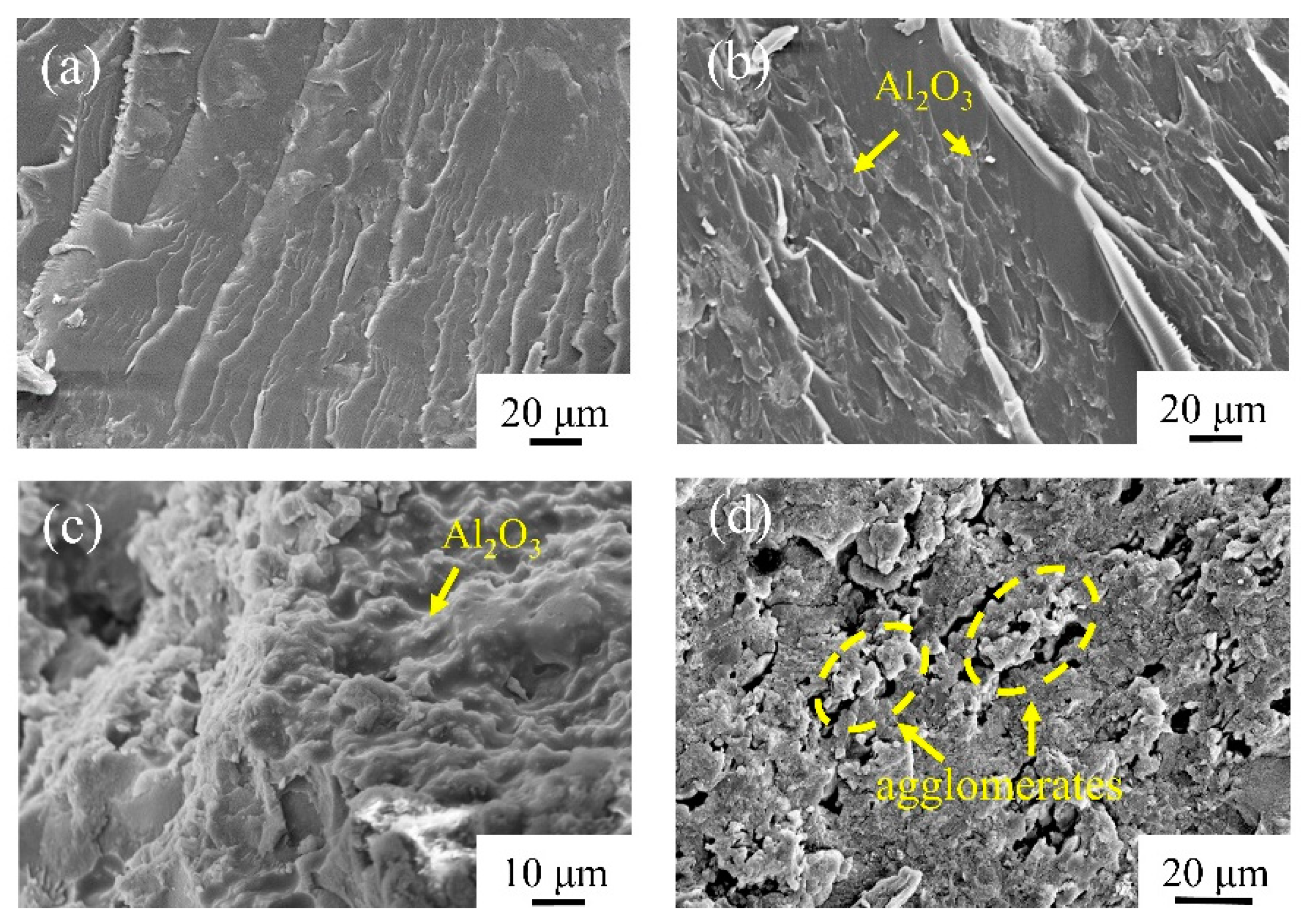 Coatings 14 00027 g011