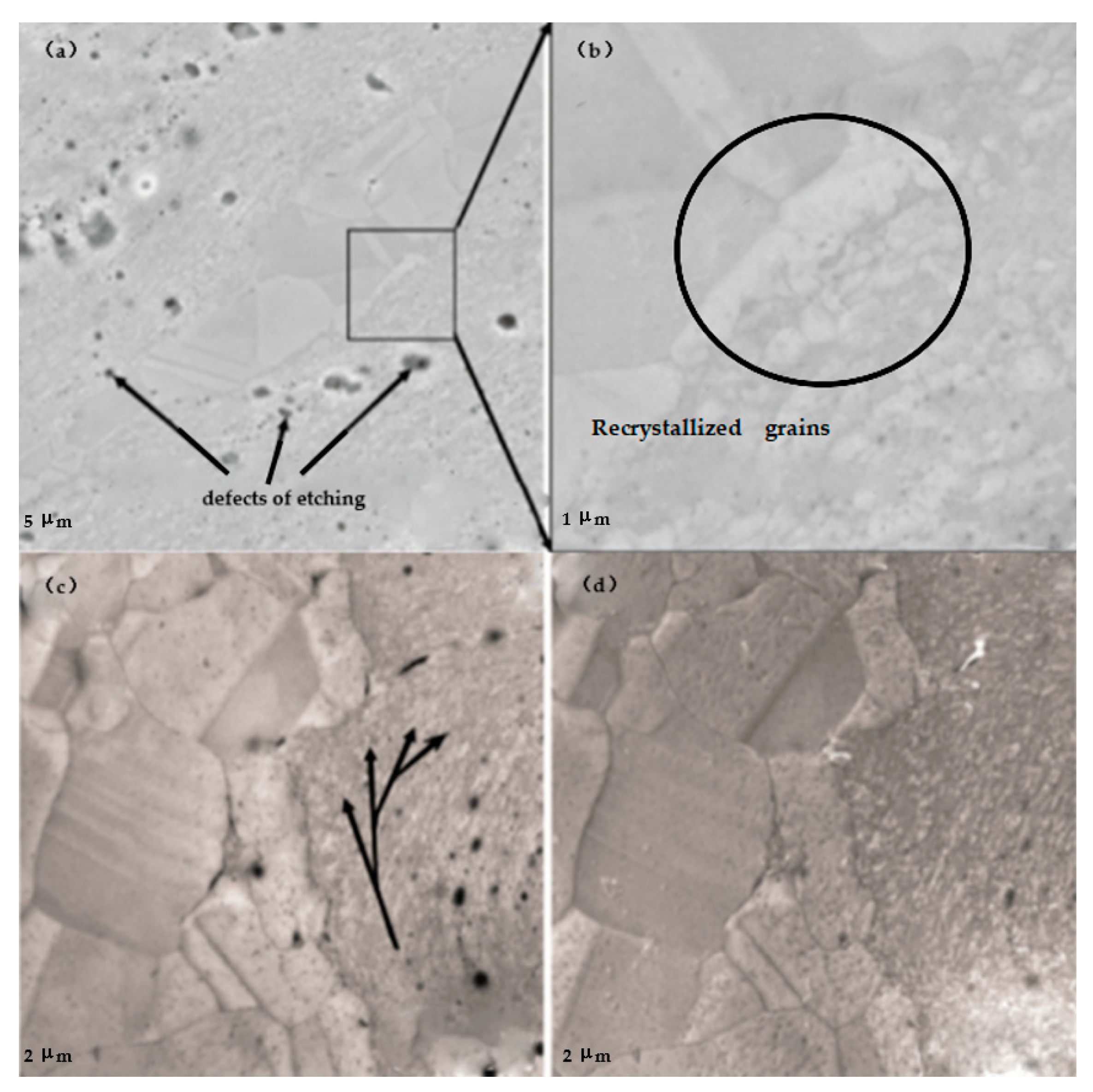 Coatings 14 00030 g009