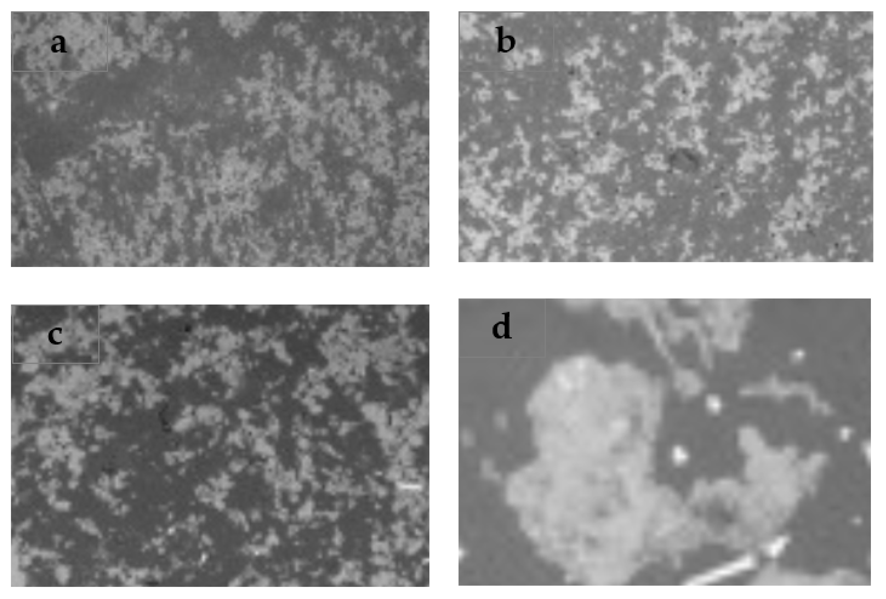 Coatings 14 00030 g010