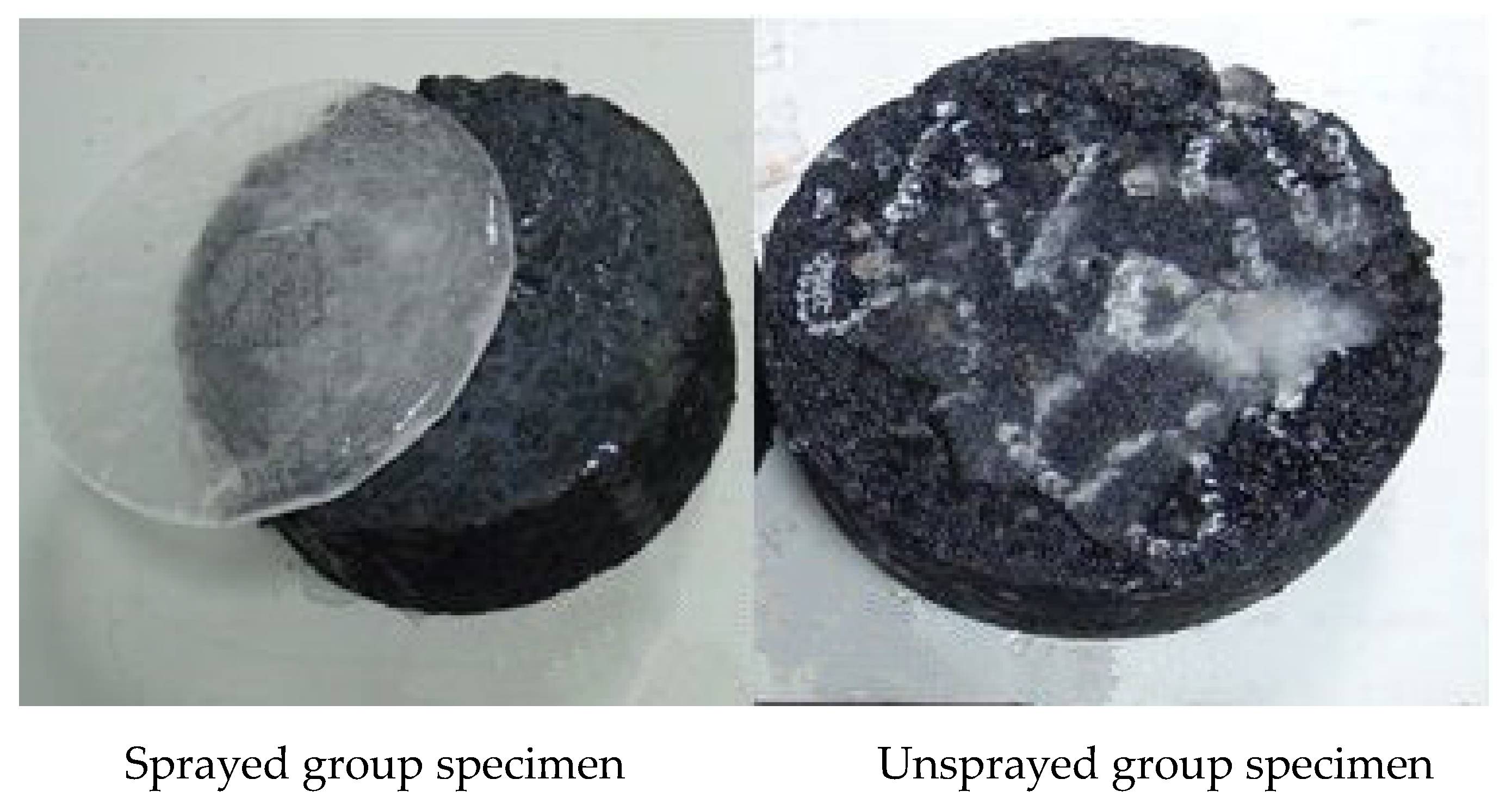 Coatings 14 00037 g005