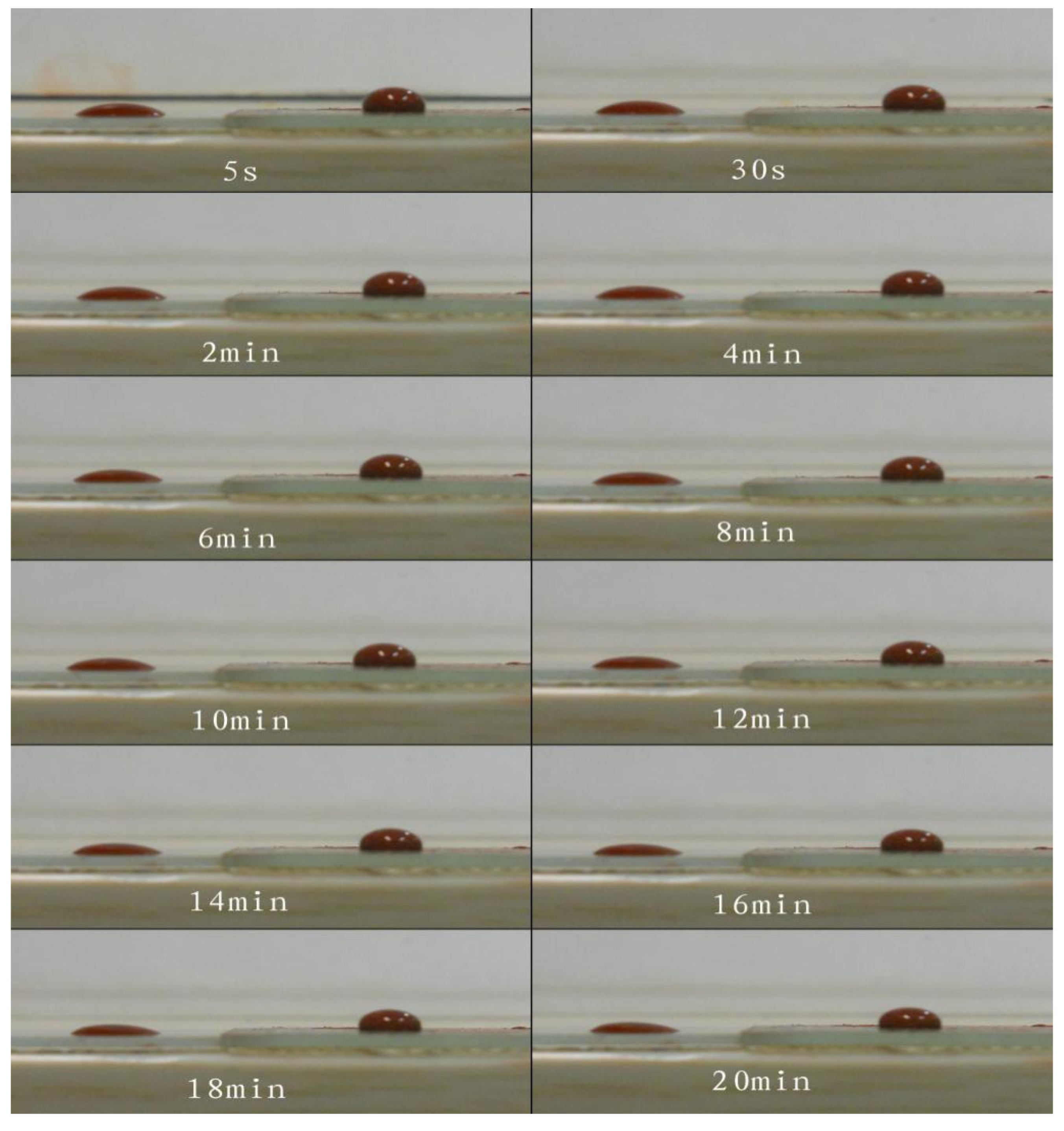 Coatings 14 00037 g007