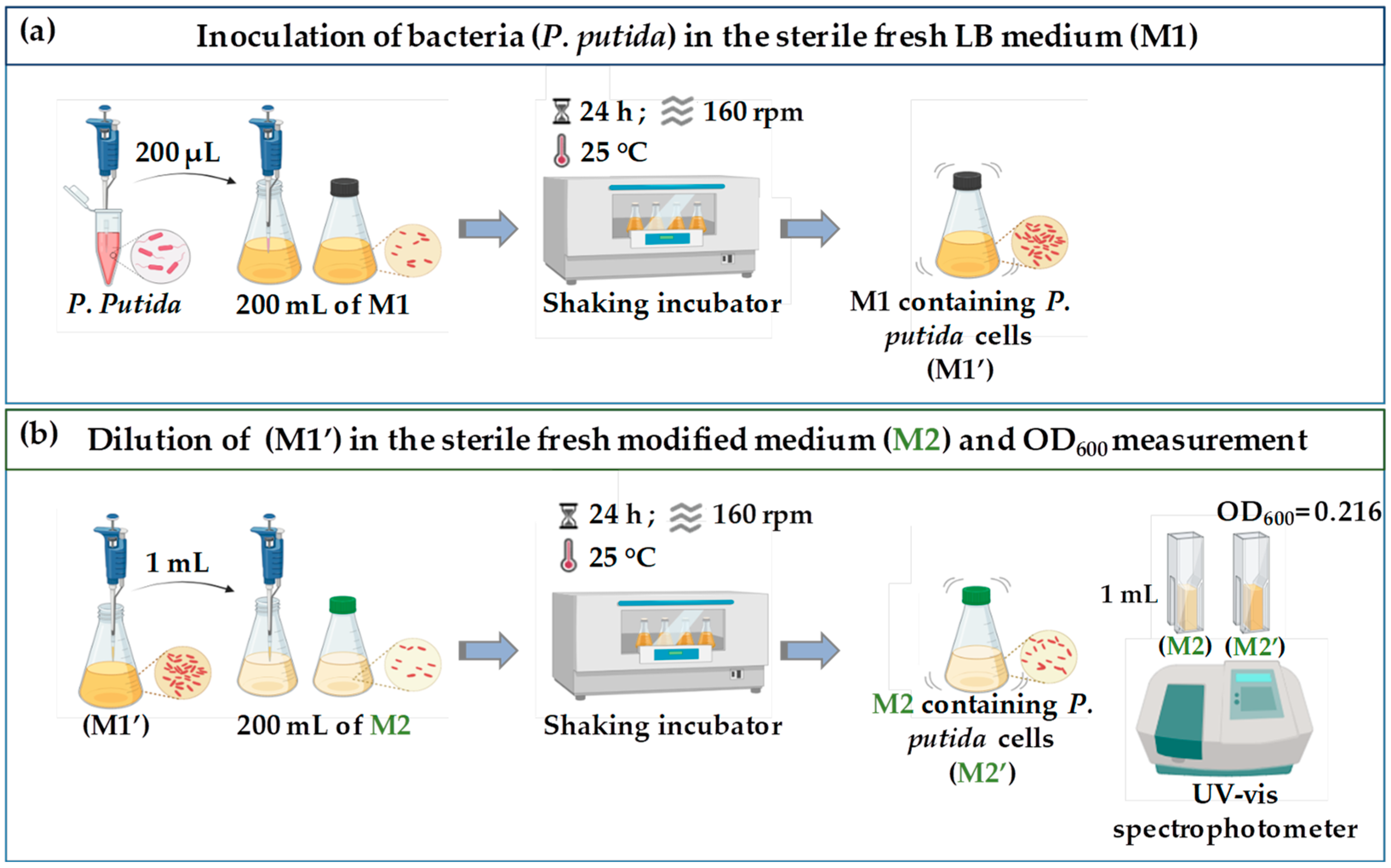 Coatings 14 00041 g003