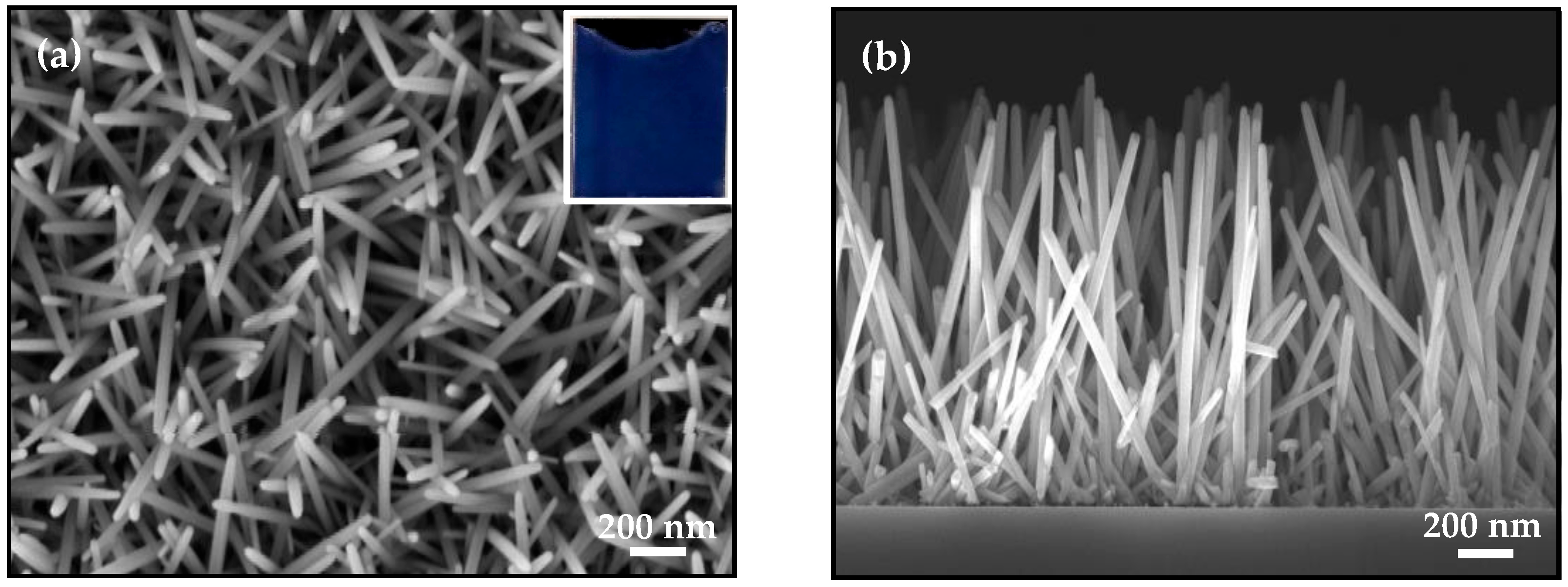 Coatings 14 00041 g004