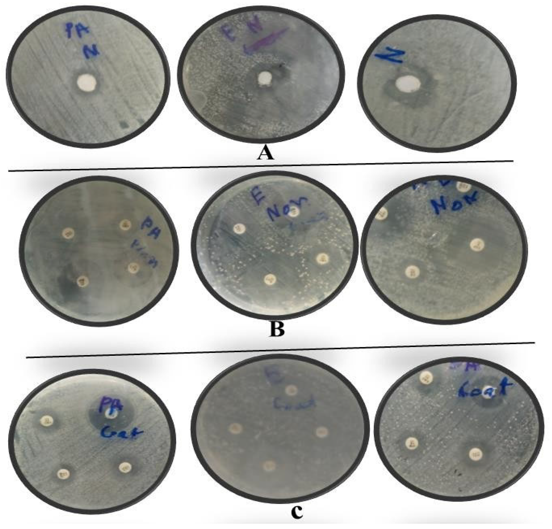 Coatings 14 00043 g008