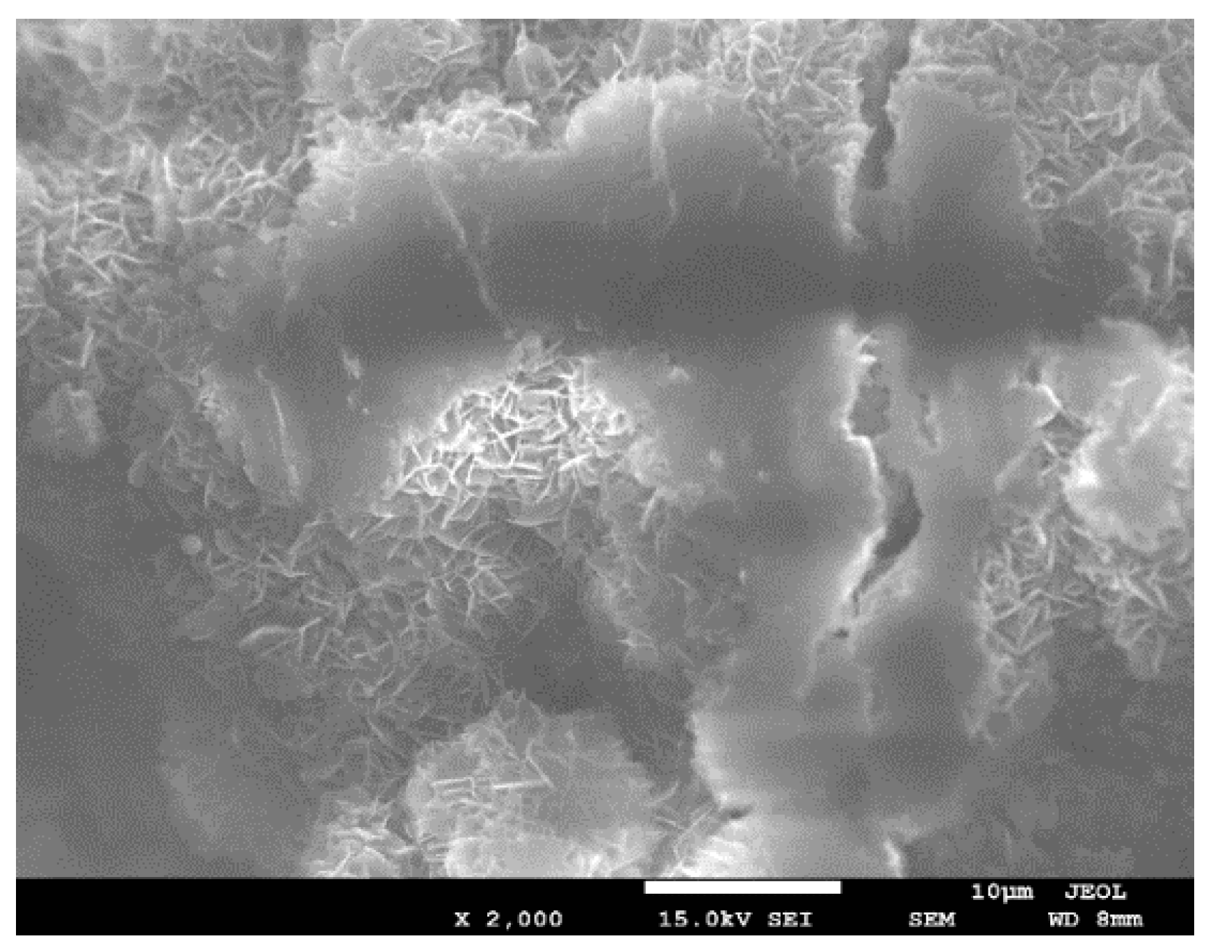 Coatings 14 00045 g005