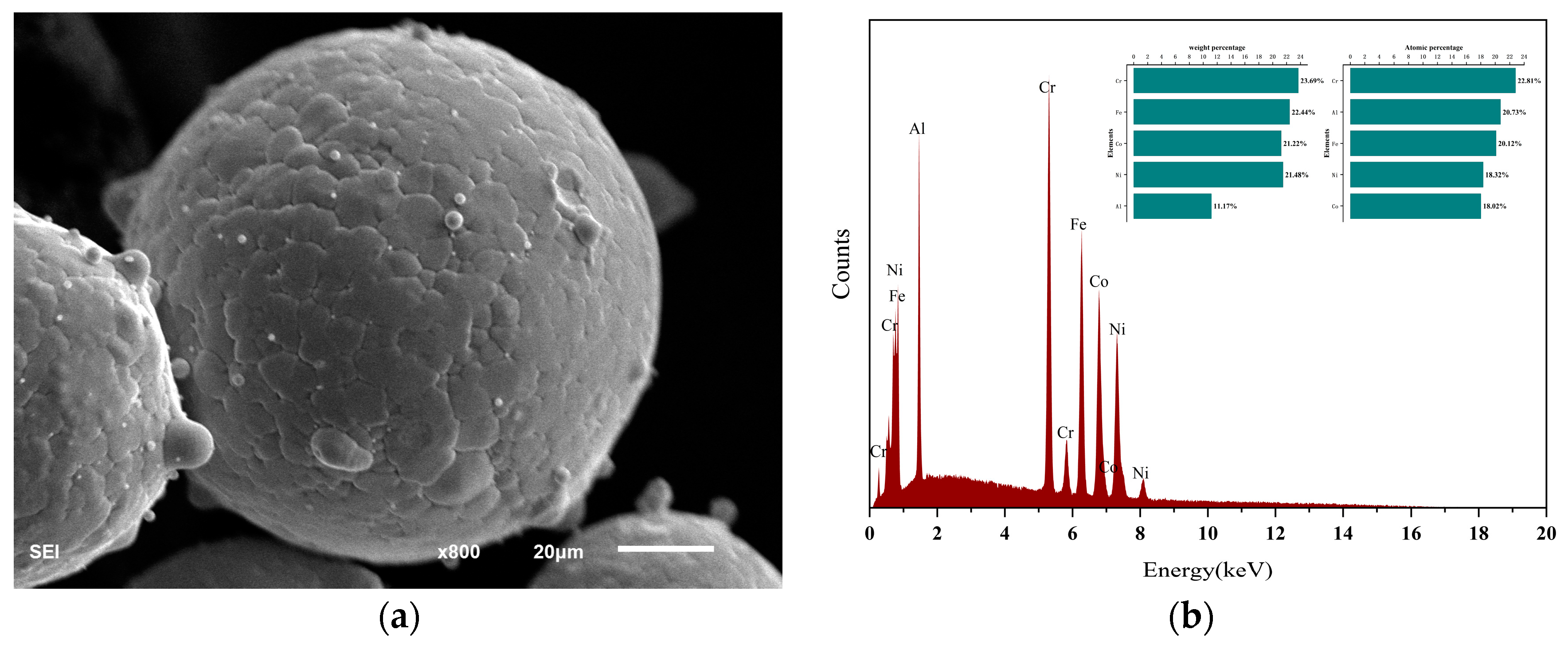 Coatings 14 00049 g001
