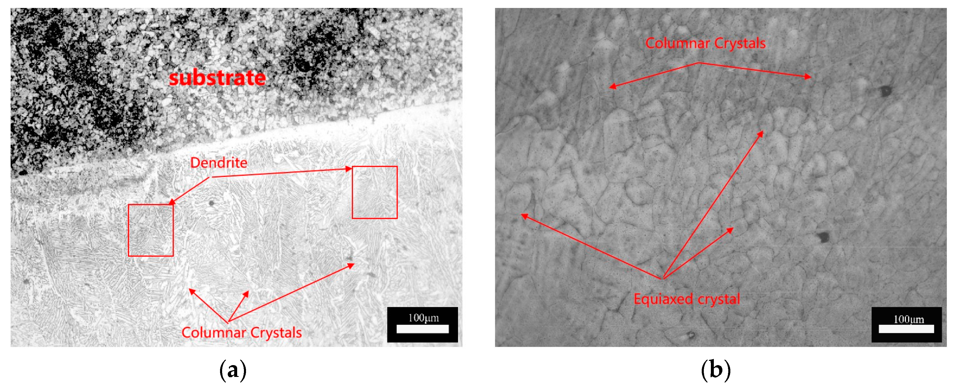 Coatings 14 00049 g004