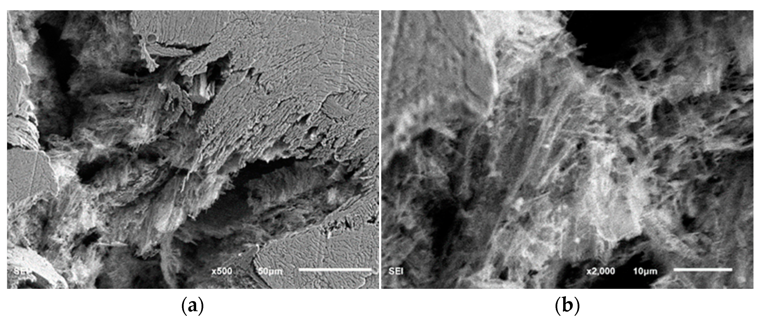 Coatings 14 00049 g018