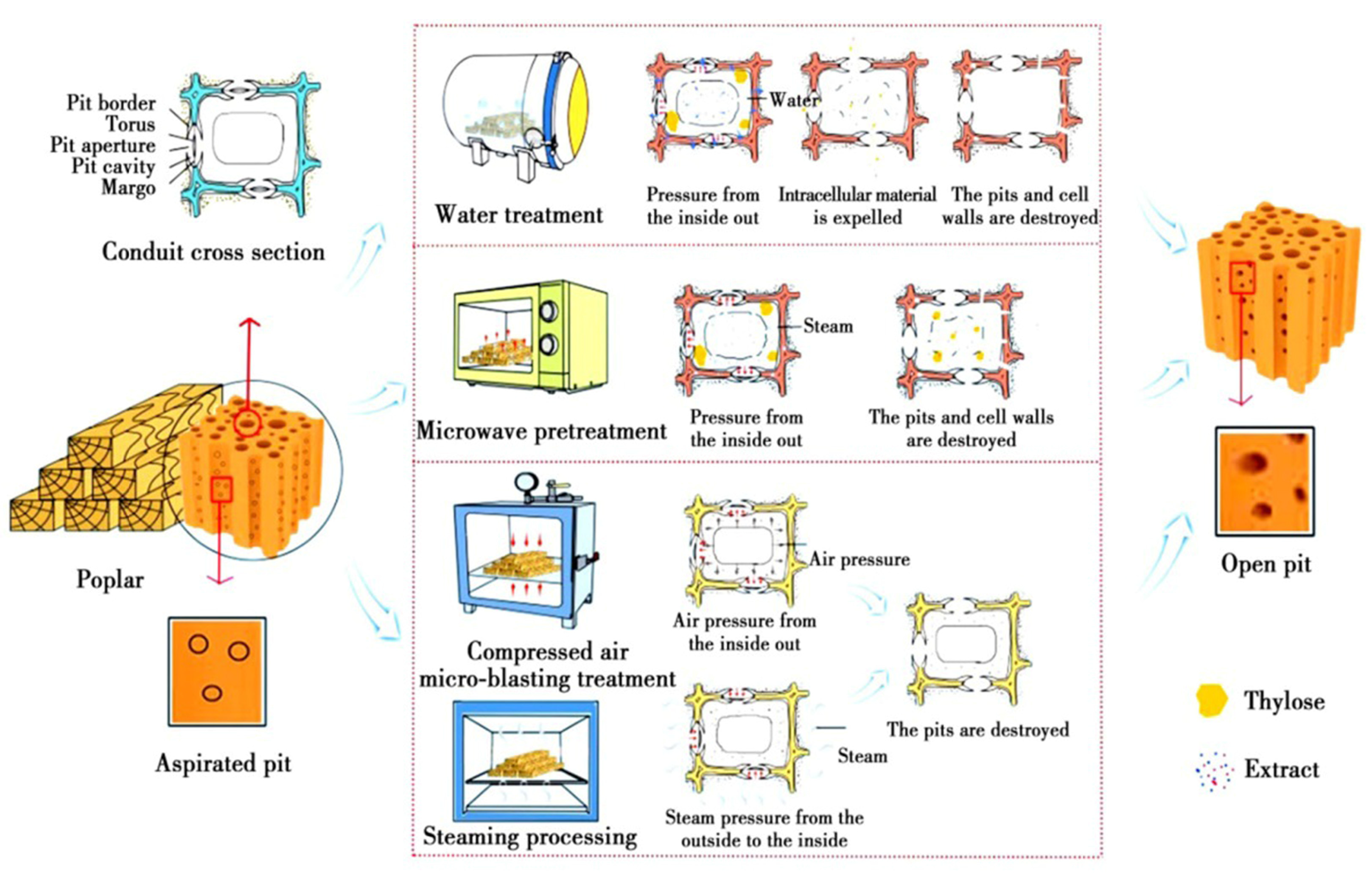 Coatings 14 00053 g001