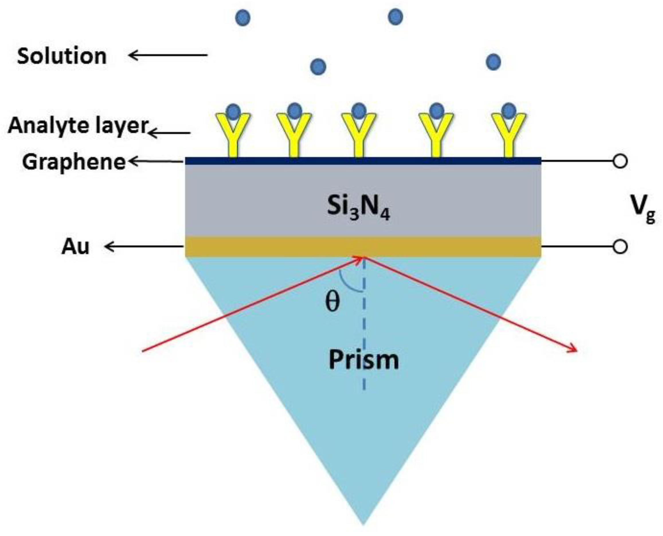 Coatings 14 00056 g001