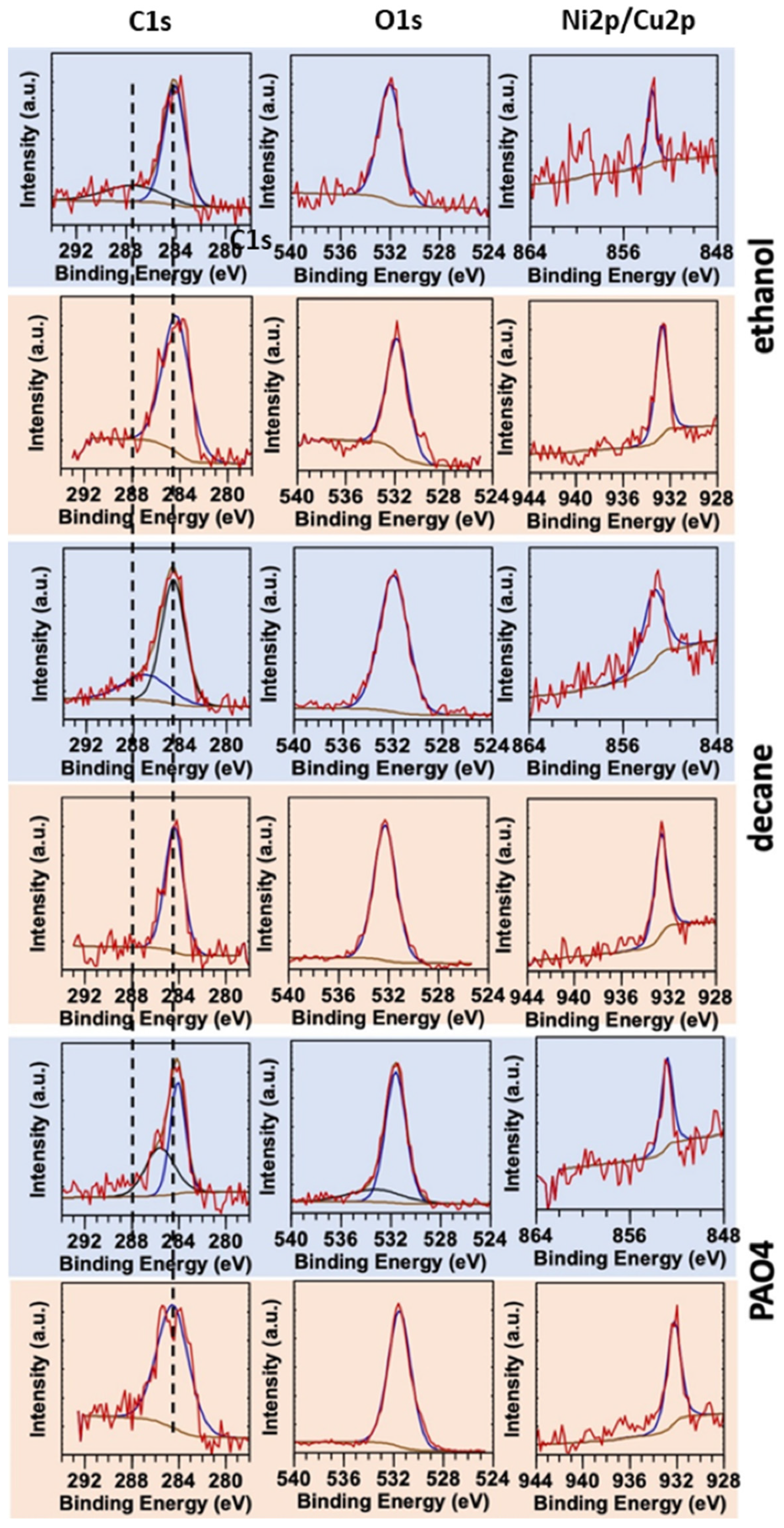 Coatings 14 00061 g008
