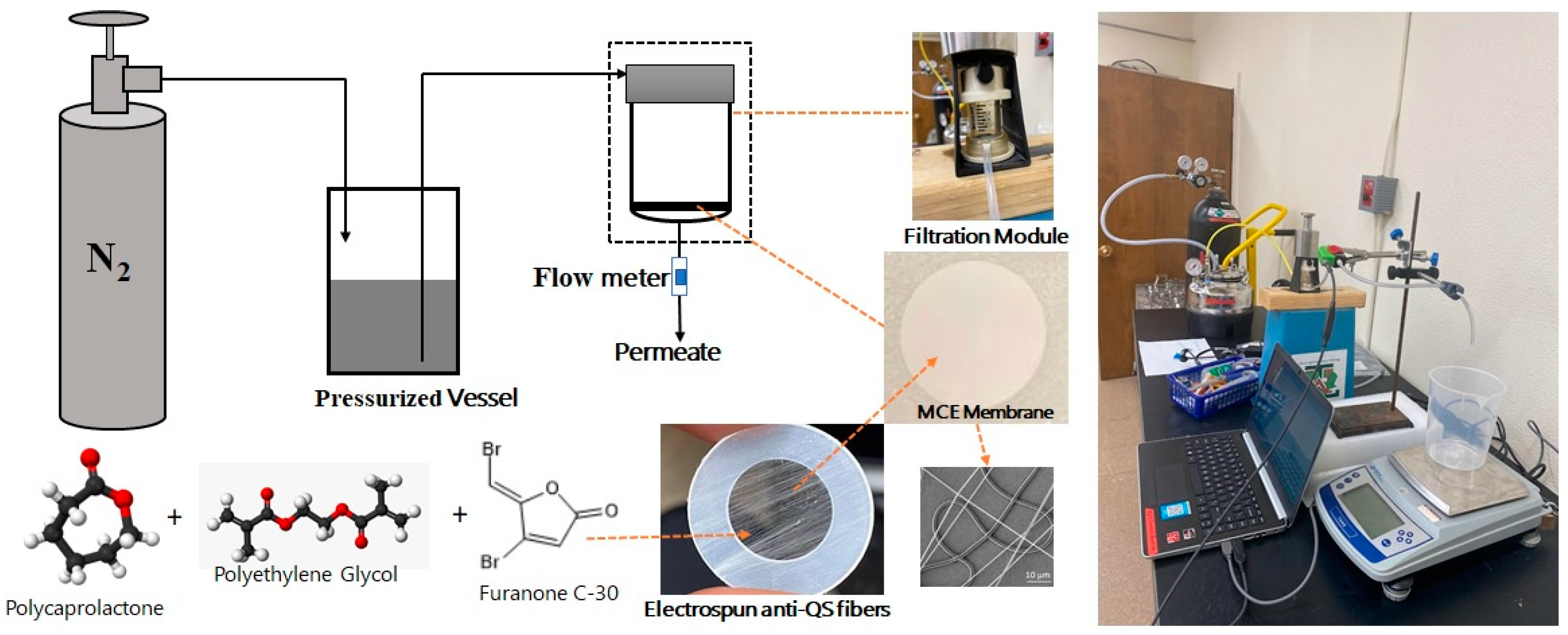 Coatings 14 00070 g001