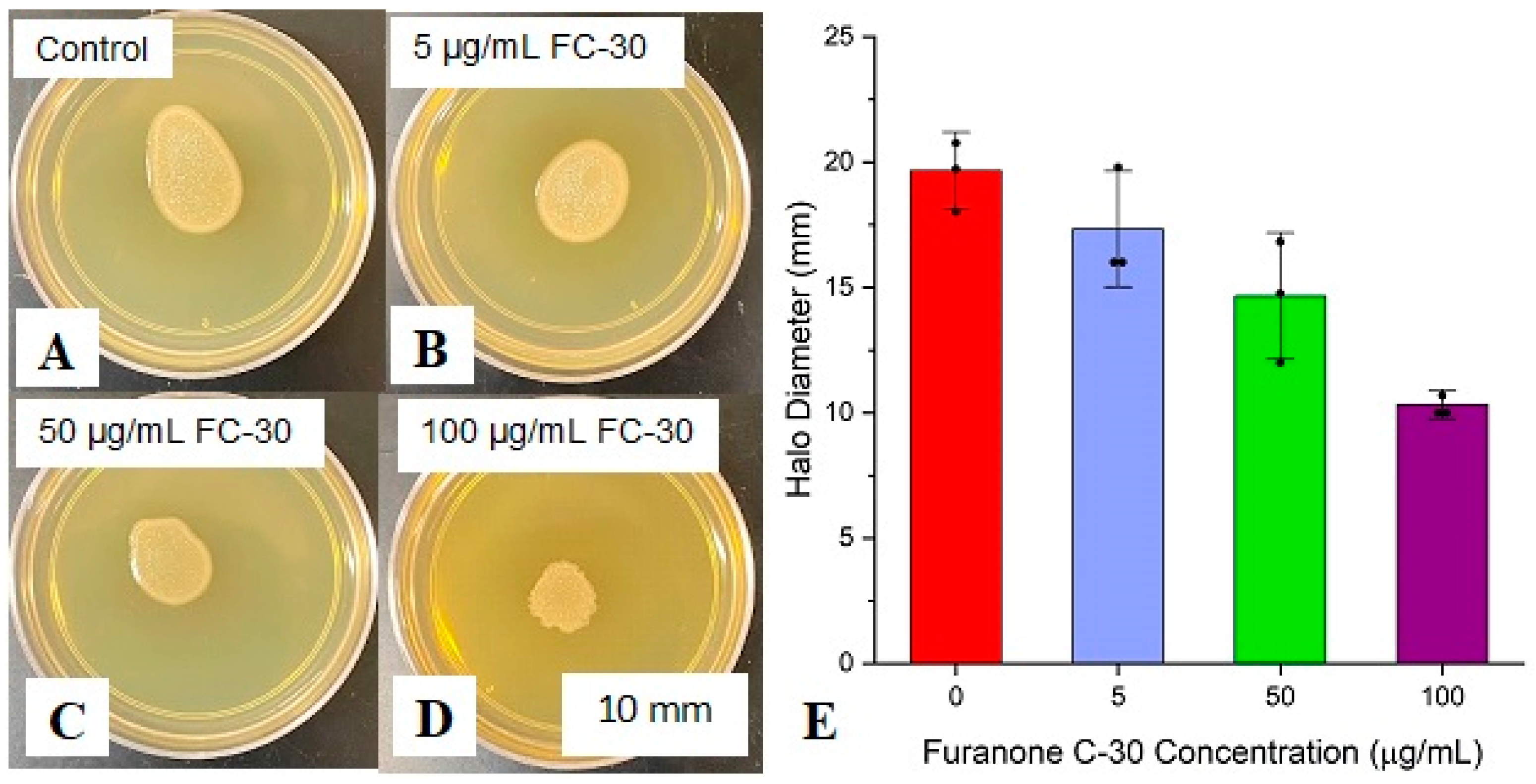 Coatings 14 00070 g002